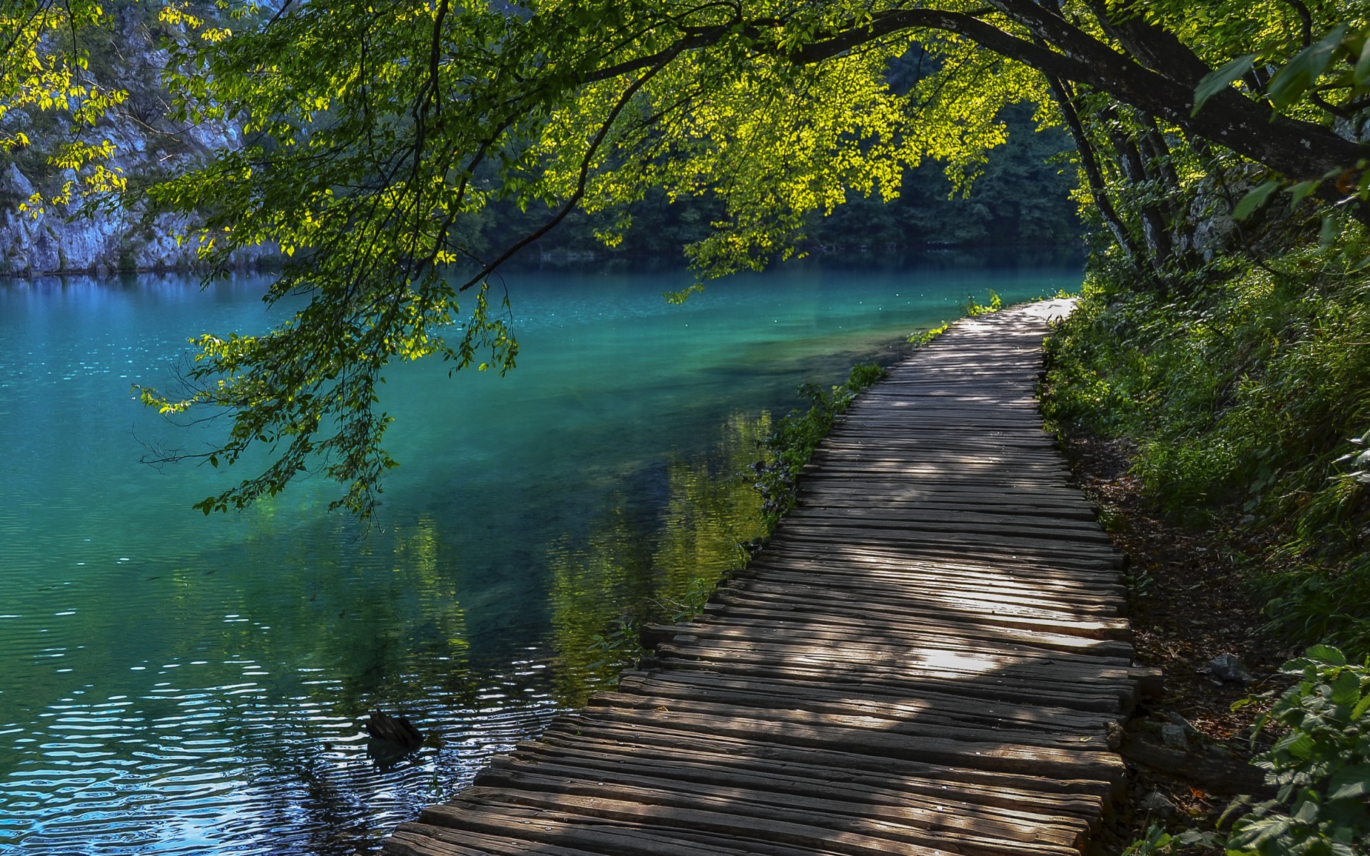 man made, boardwalk, green, lake, path, spring, tree, turquoise
