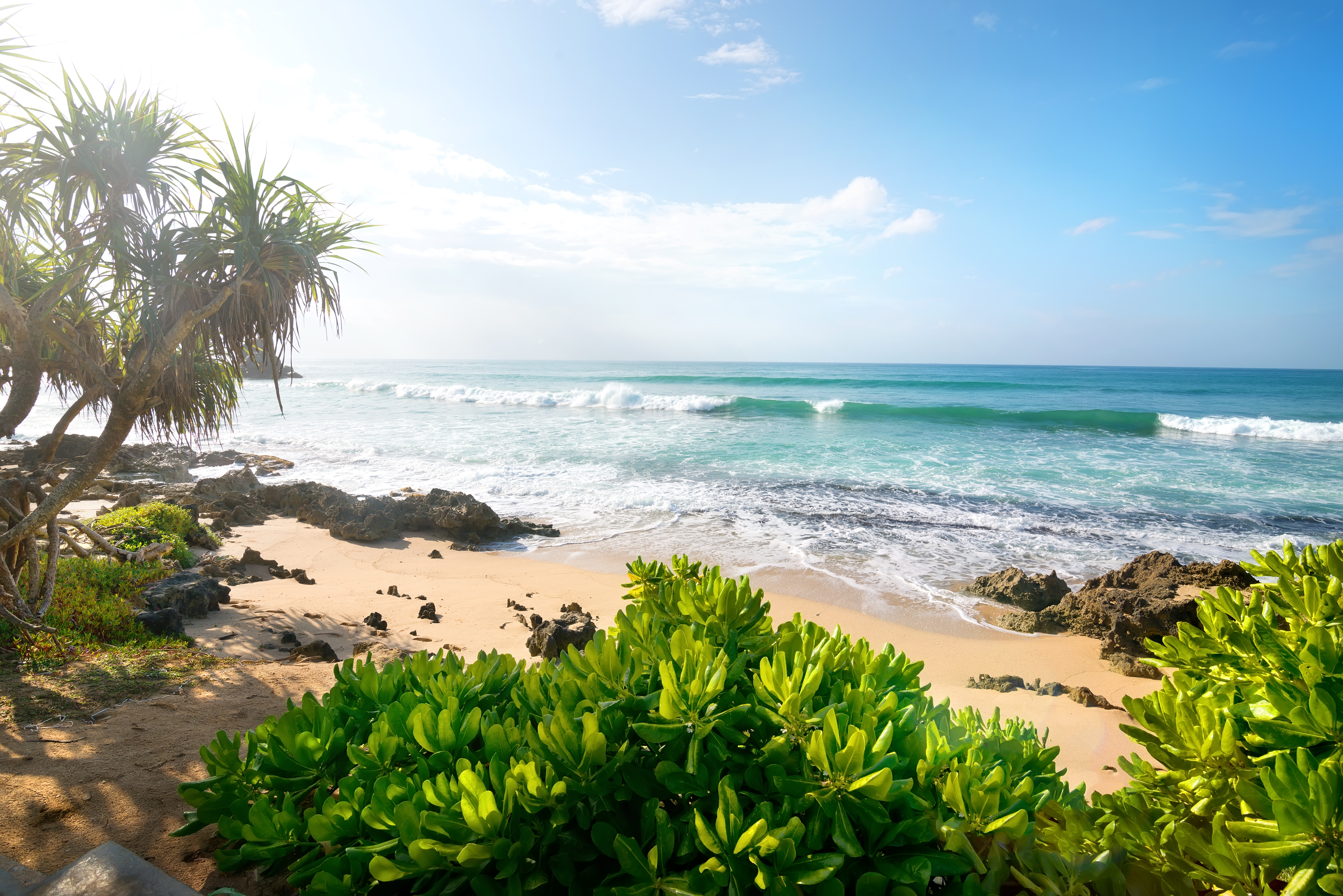 Laden Sie das Natur, Strand, Sand, Horizont, Ozean, Busch, Sonnig, Himmel, Erde/natur-Bild kostenlos auf Ihren PC-Desktop herunter