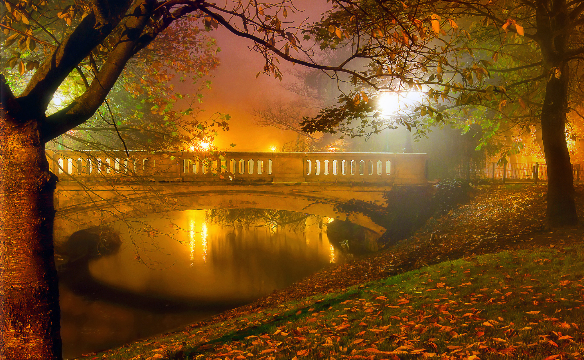 Laden Sie das Herbst, Park, Baum, Nebel, Fluss, Brücke, Brücken, Menschengemacht-Bild kostenlos auf Ihren PC-Desktop herunter