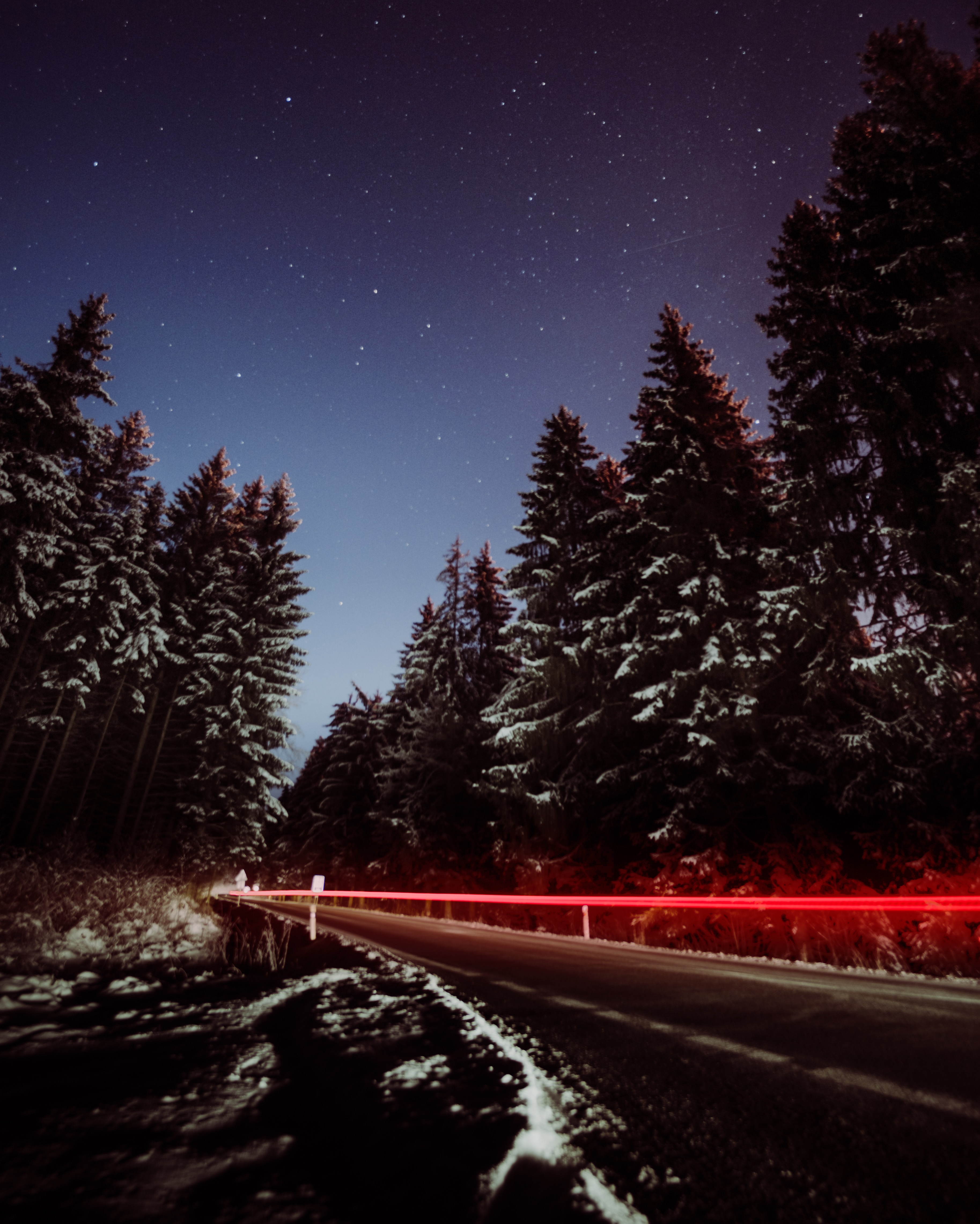 long exposure, trees, night, snow, dark, road