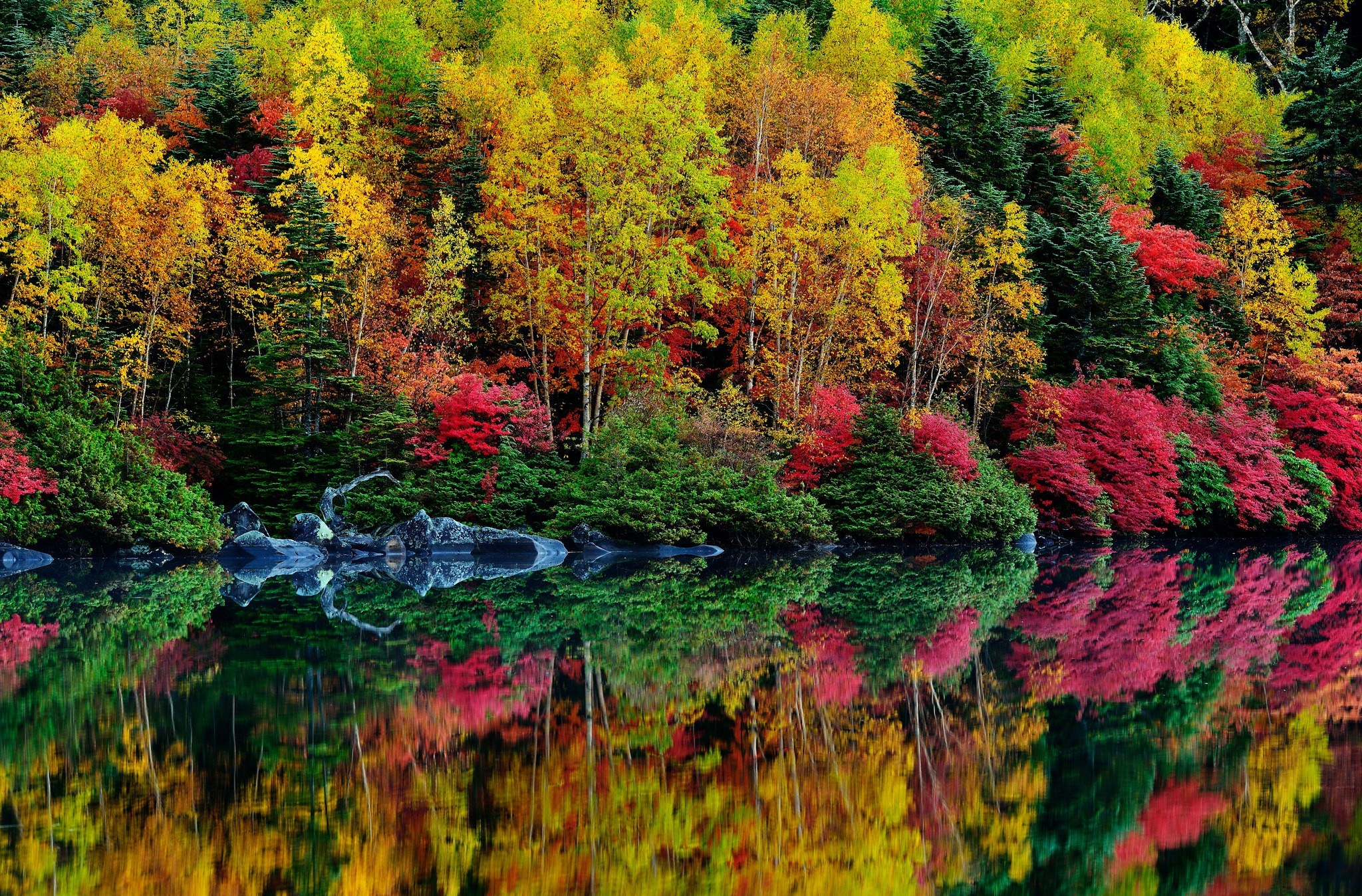 Free download wallpaper Reflection, Forest, Fall, Earth on your PC desktop