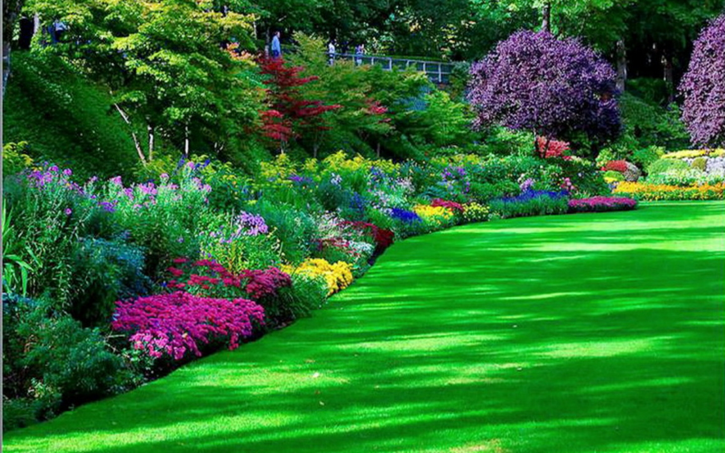 Laden Sie das Blume, Erde, Garten, Frühling, Menschengemacht-Bild kostenlos auf Ihren PC-Desktop herunter