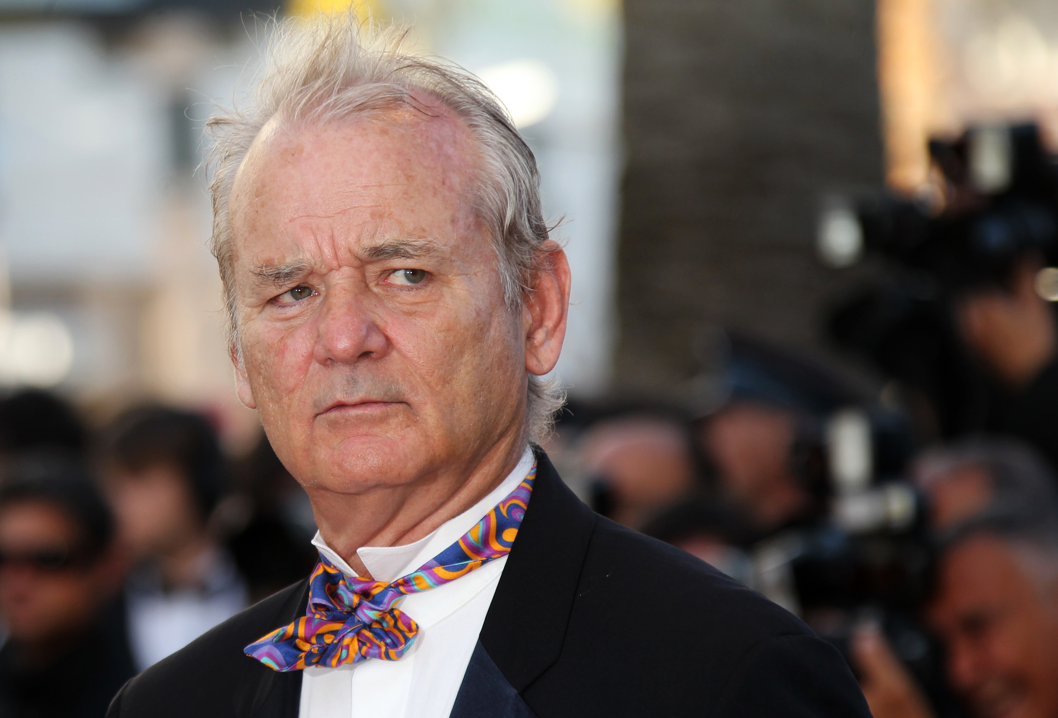 Download mobile wallpaper Celebrity, Bill Murray for free.