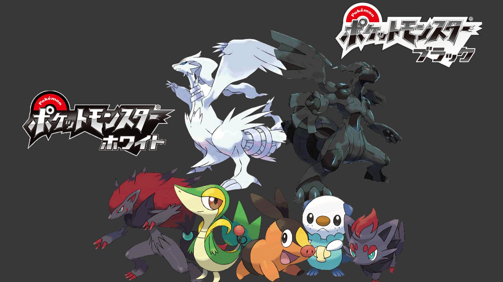 Baixe gratuitamente a imagem Pokémon, Videogame, Pokémon: Preto E Branco na área de trabalho do seu PC