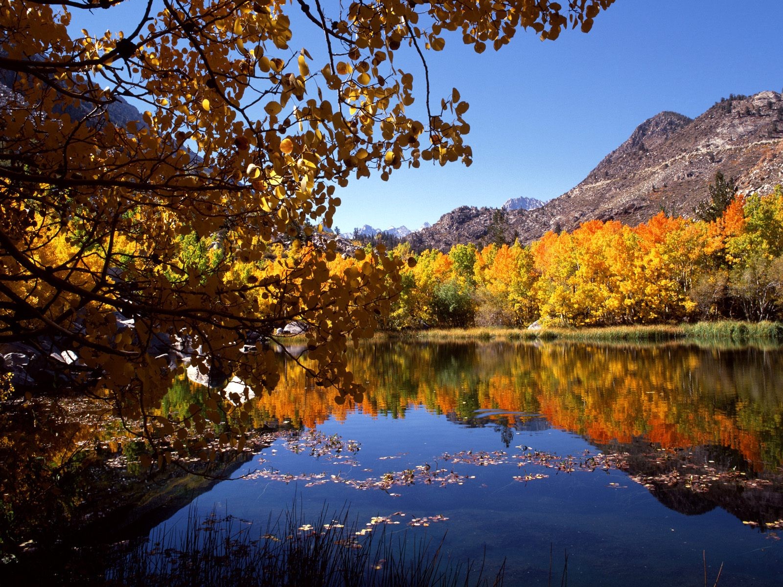 Laden Sie das Natur, Wasser, Herbst, See, Wald, Gebirge, Erde/natur, Spiegelung-Bild kostenlos auf Ihren PC-Desktop herunter