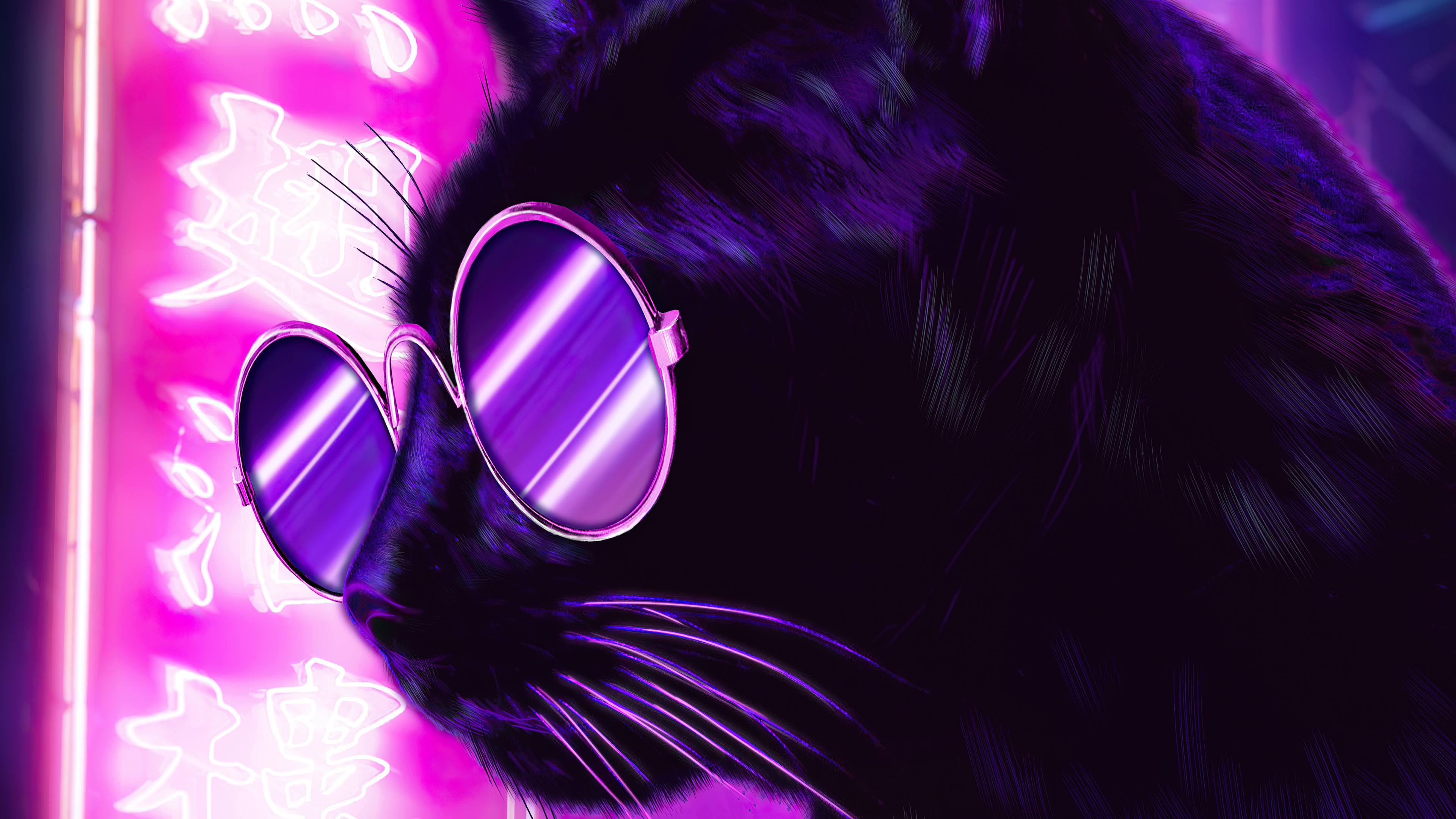 Laden Sie das Fantasie, Katze, Sonnenbrille, Fantasietiere-Bild kostenlos auf Ihren PC-Desktop herunter
