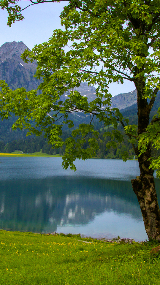 Download mobile wallpaper Lakes, Lake, Earth for free.