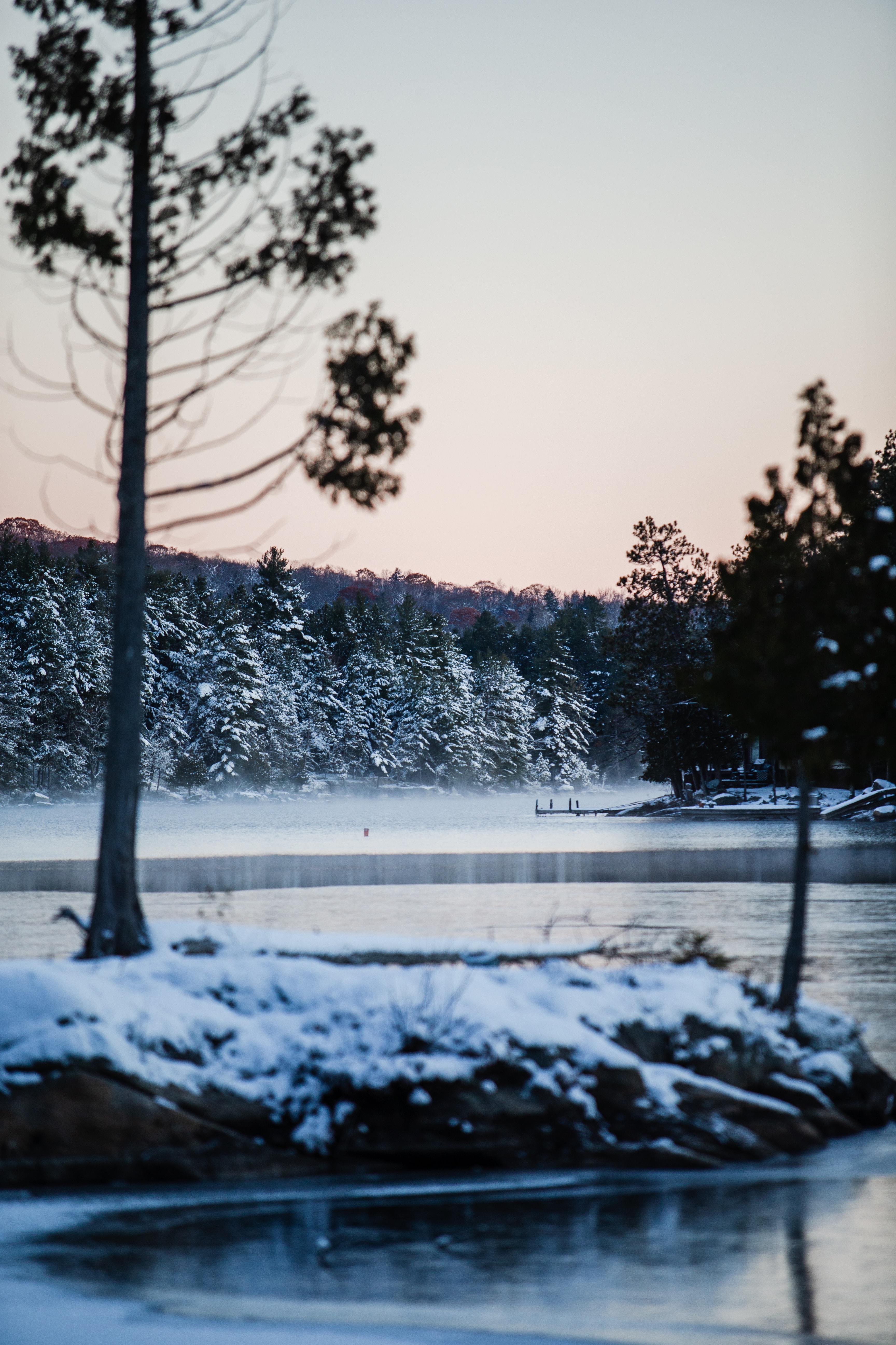 Скачать картинку Берег, Река, Снег, Деревья, Природа, Зима в телефон бесплатно.