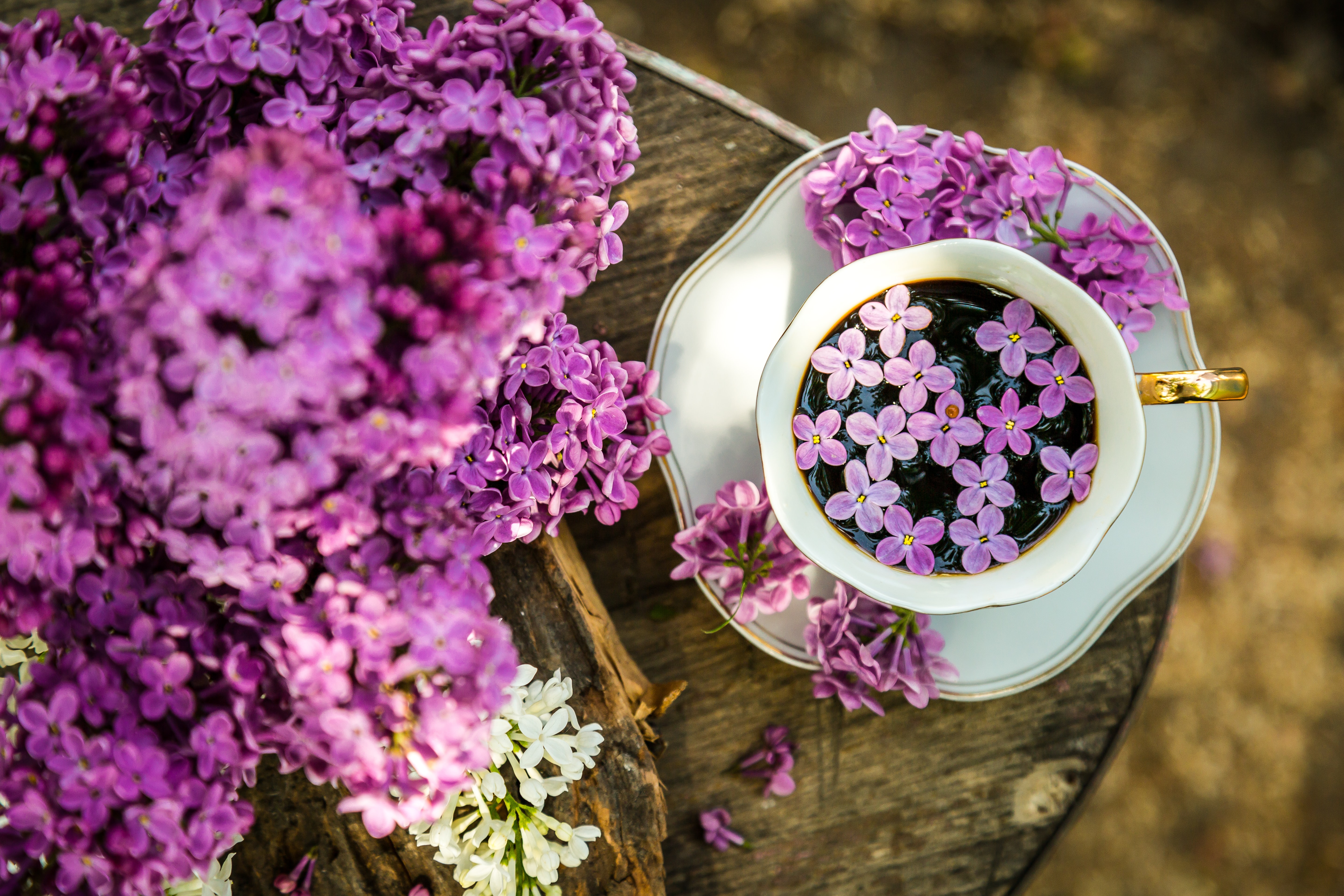 Free download wallpaper Flowers, Lilac, Food, Wood, Wooden, Cup, Coffee on your PC desktop