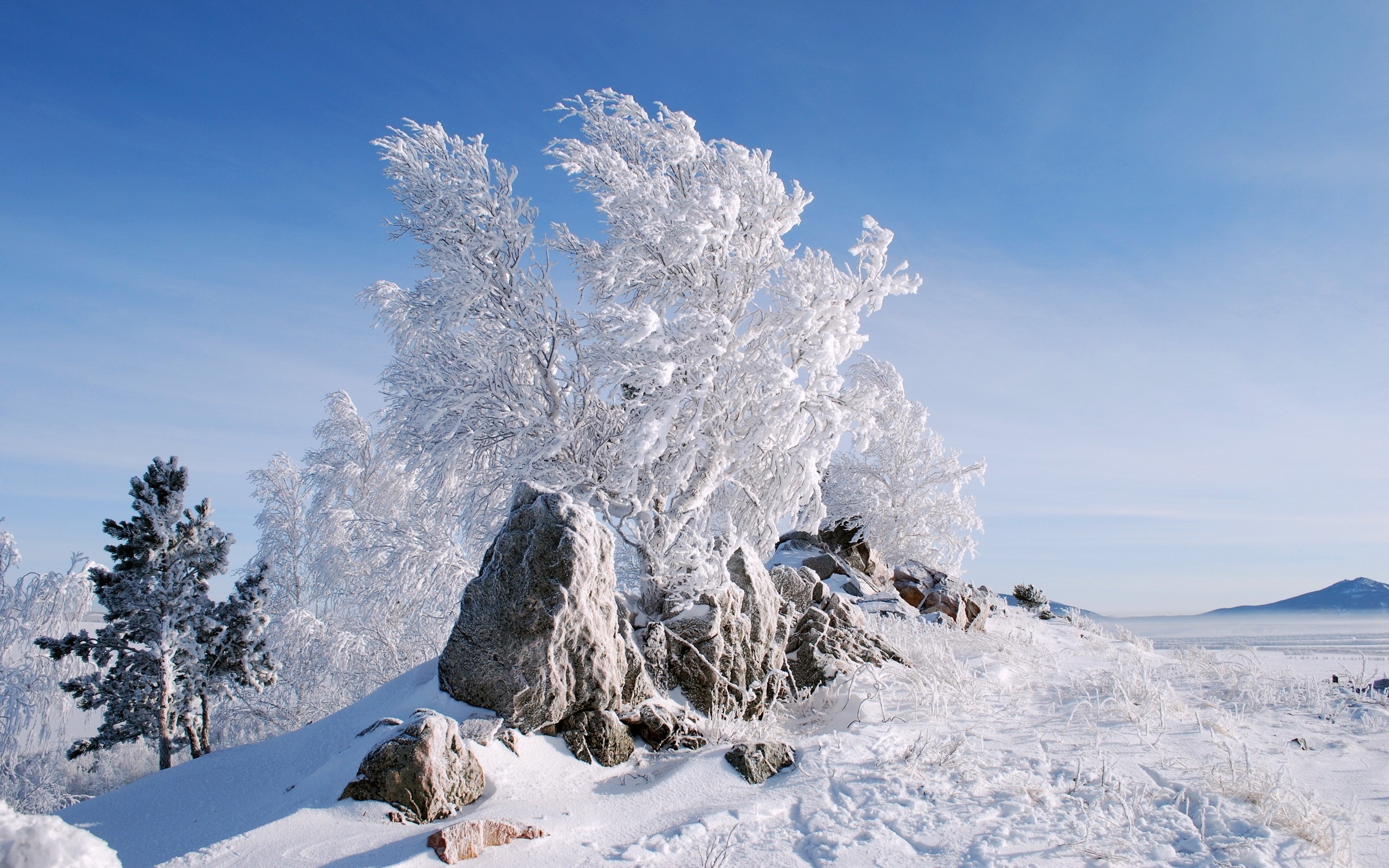 Téléchargez gratuitement l'image Hiver, Terre/nature sur le bureau de votre PC