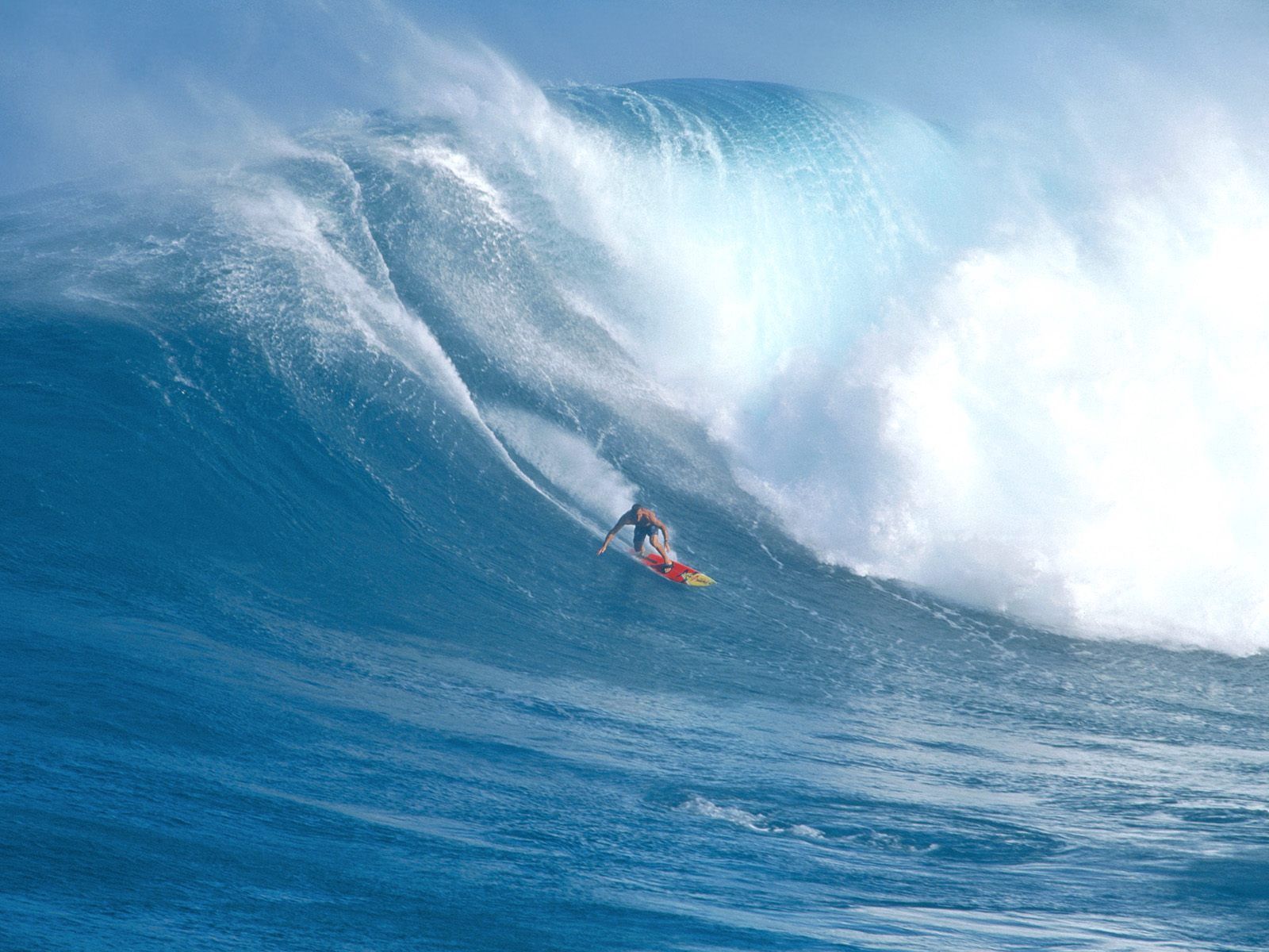 hawaii, sports, serfing, guy, wave, board