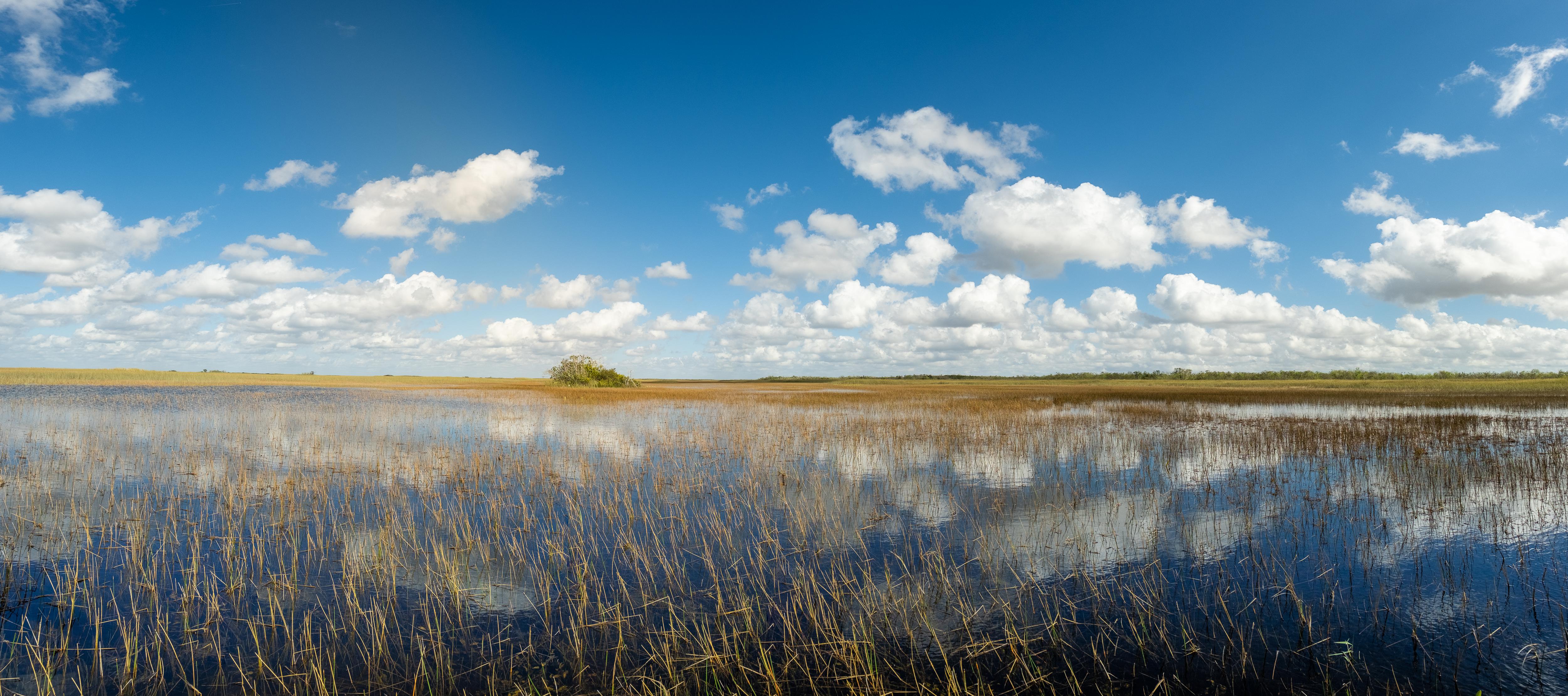 Die besten Everglades Nationalpark-Hintergründe für den Telefonbildschirm
