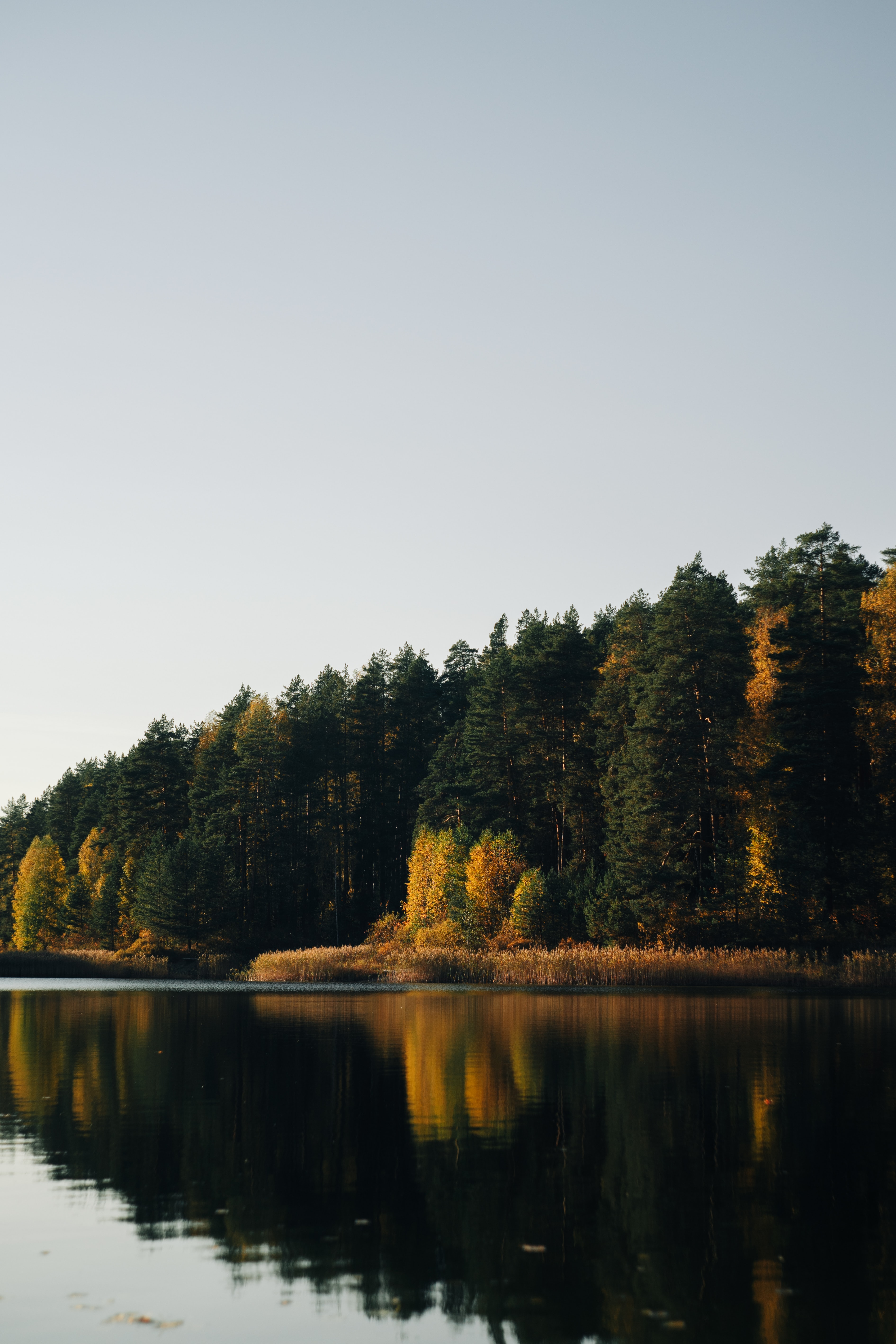 Free download wallpaper Trees, Lake, Nature, Reflection, Water, Forest on your PC desktop