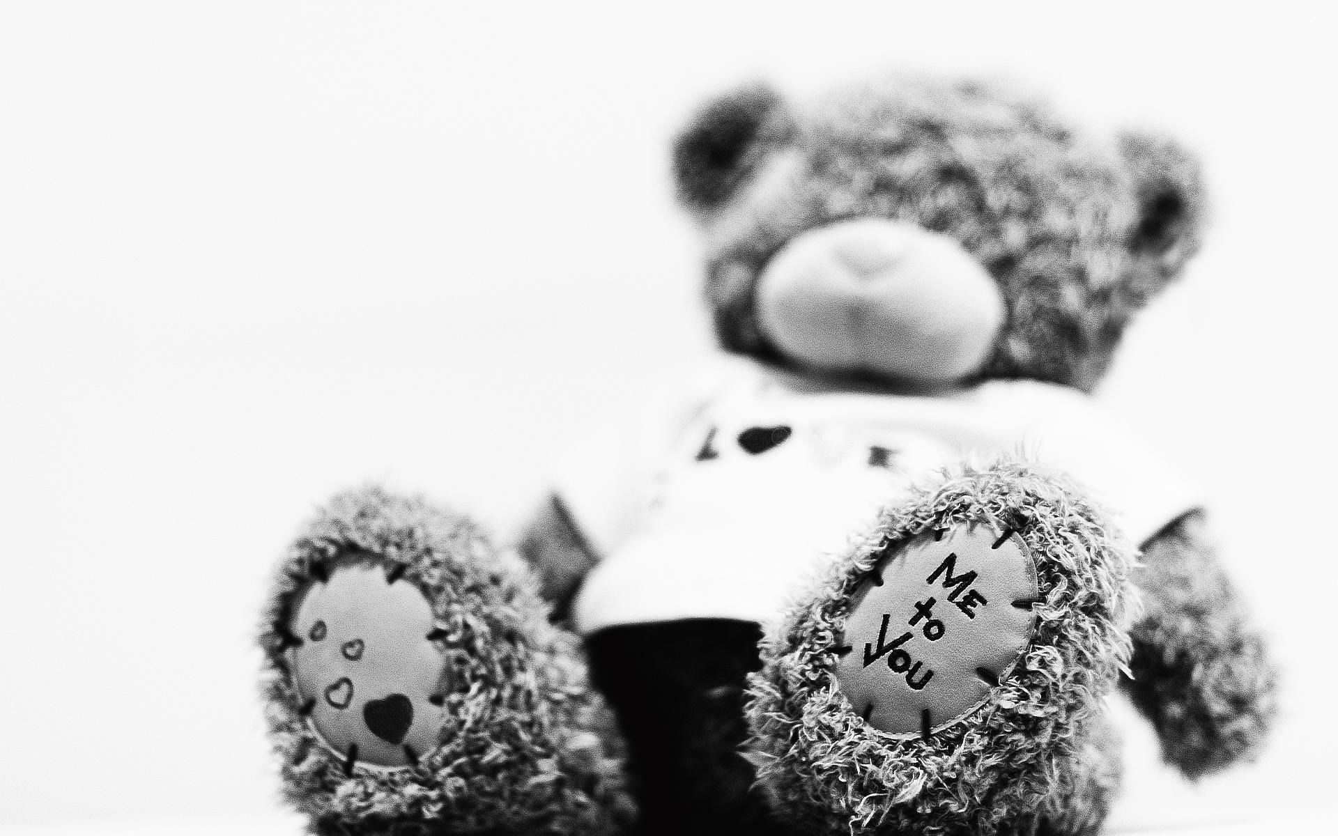 teddy bear, miscellanea, miscellaneous, bear, plush, toy, soft