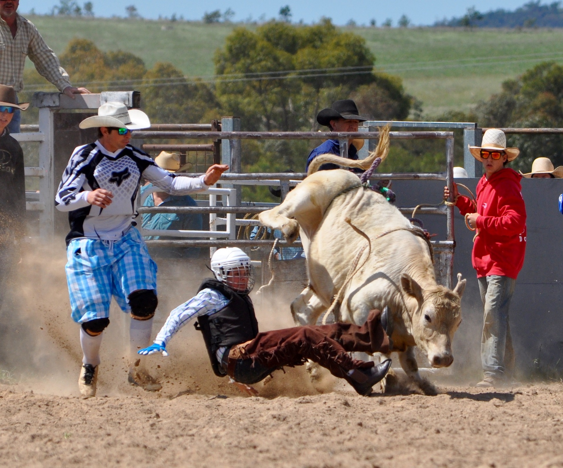 746825 Bild herunterladen sport, rodeo, stier, cowboy - Hintergrundbilder und Bildschirmschoner kostenlos