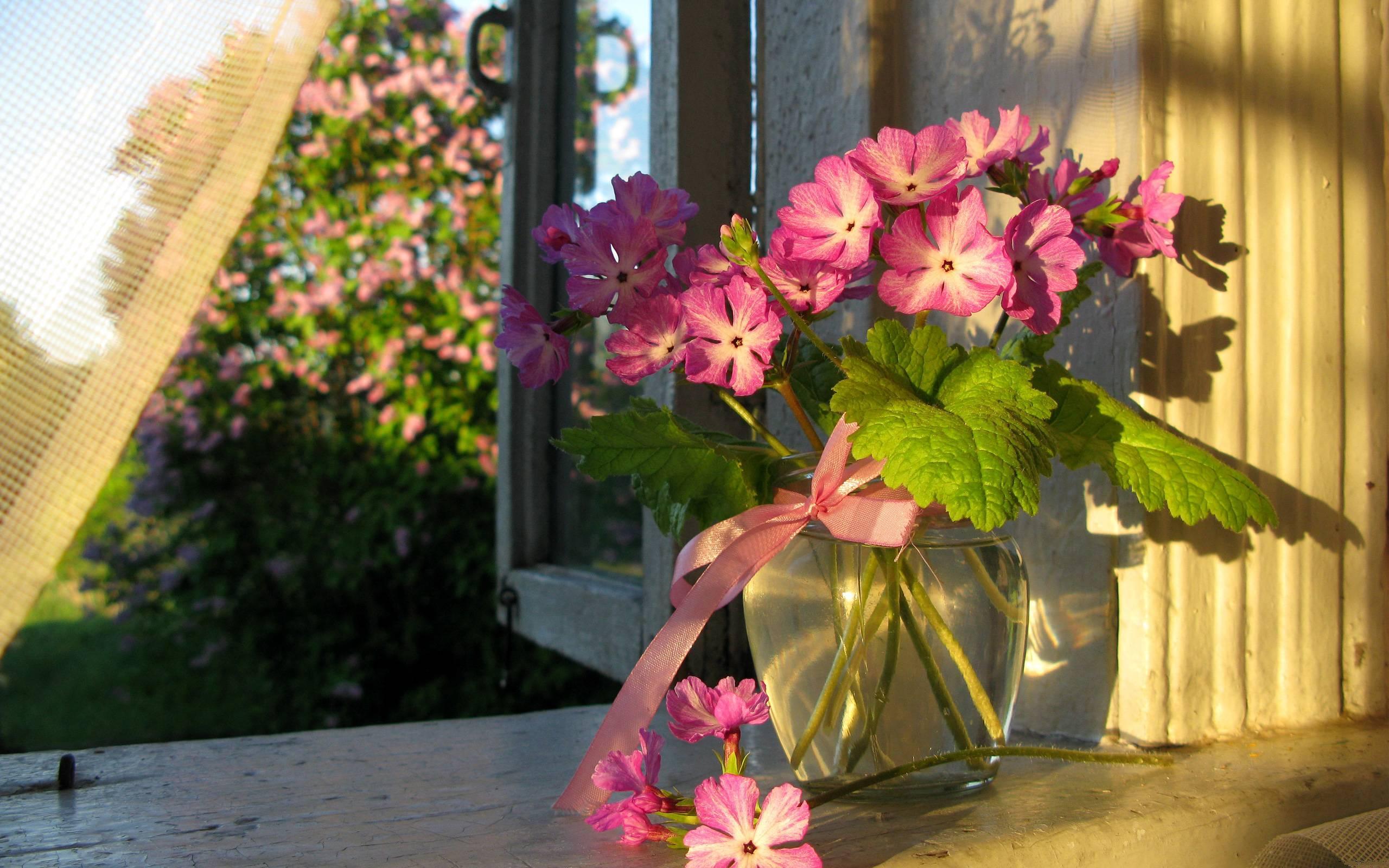 Download mobile wallpaper Pink, Flower, Window, Vase, Man Made for free.