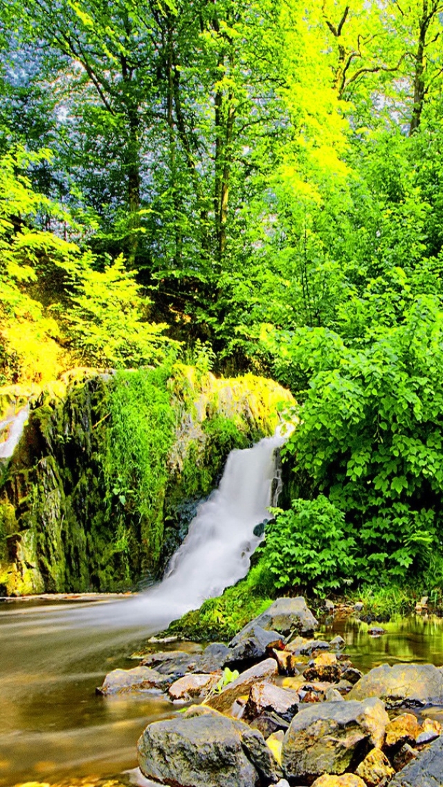 Handy-Wallpaper Natur, Wasserfälle, Wasserfall, Wald, Erde/natur kostenlos herunterladen.