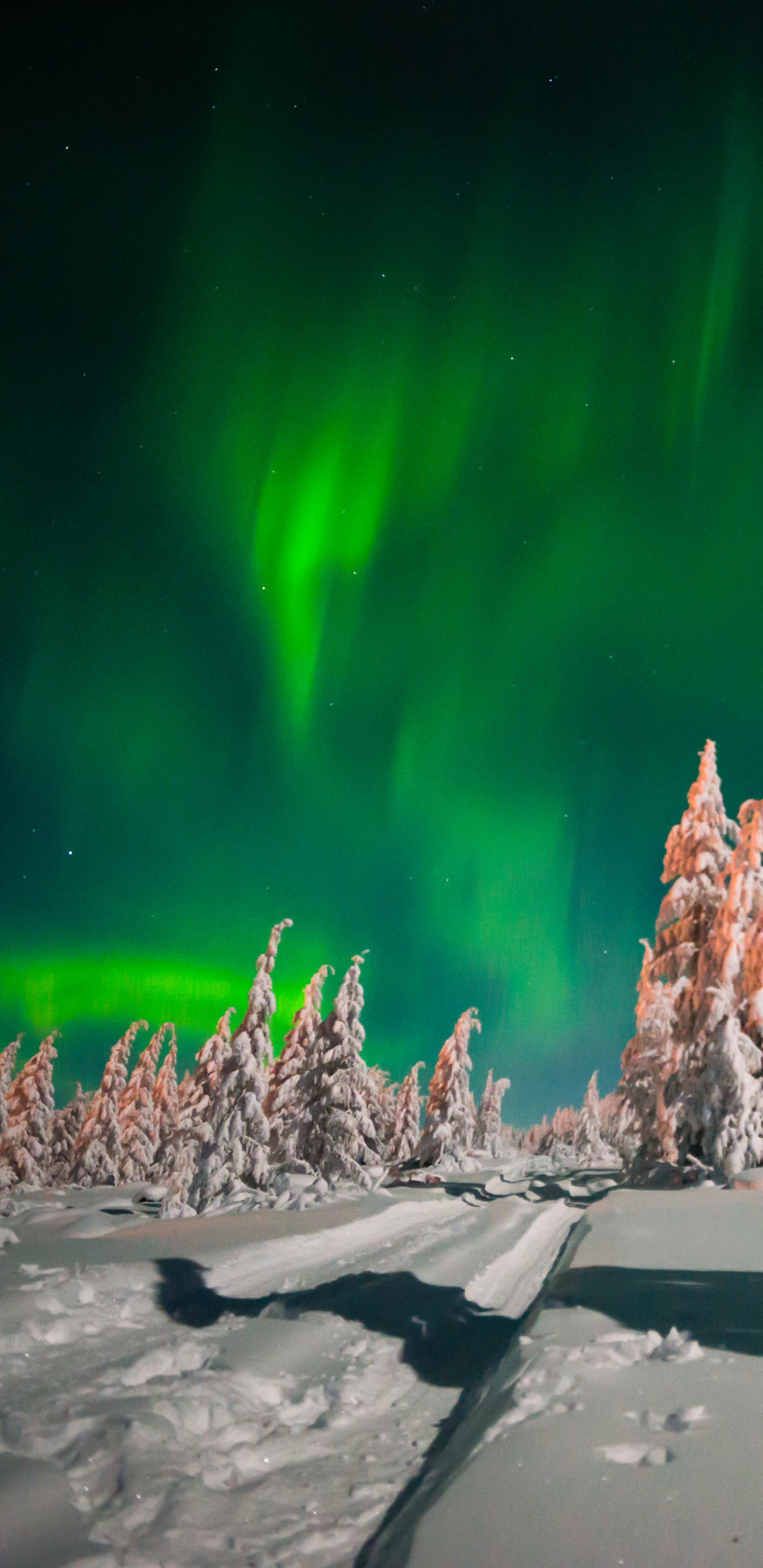 Download mobile wallpaper Winter, Nature, Sky, Night, Snow, Light, Earth, Aurora Borealis for free.