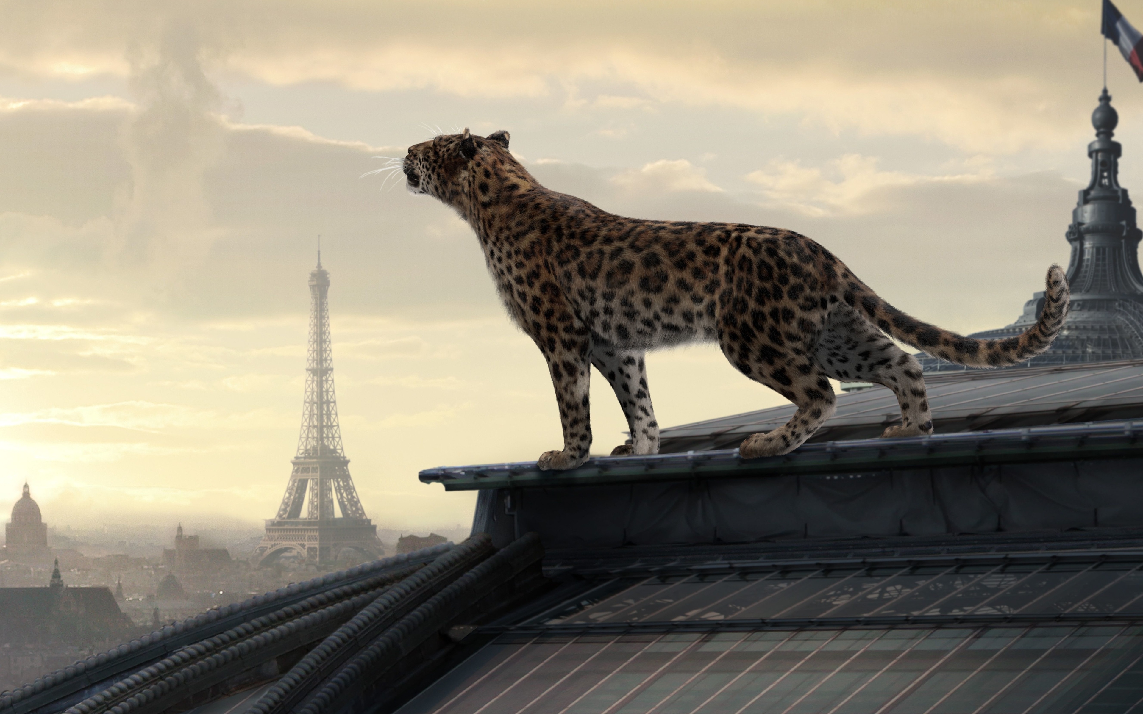 Завантажити шпалери безкоштовно Париж, Ягуар, Ейфелева Вежа, Тварина, Коти картинка на робочий стіл ПК