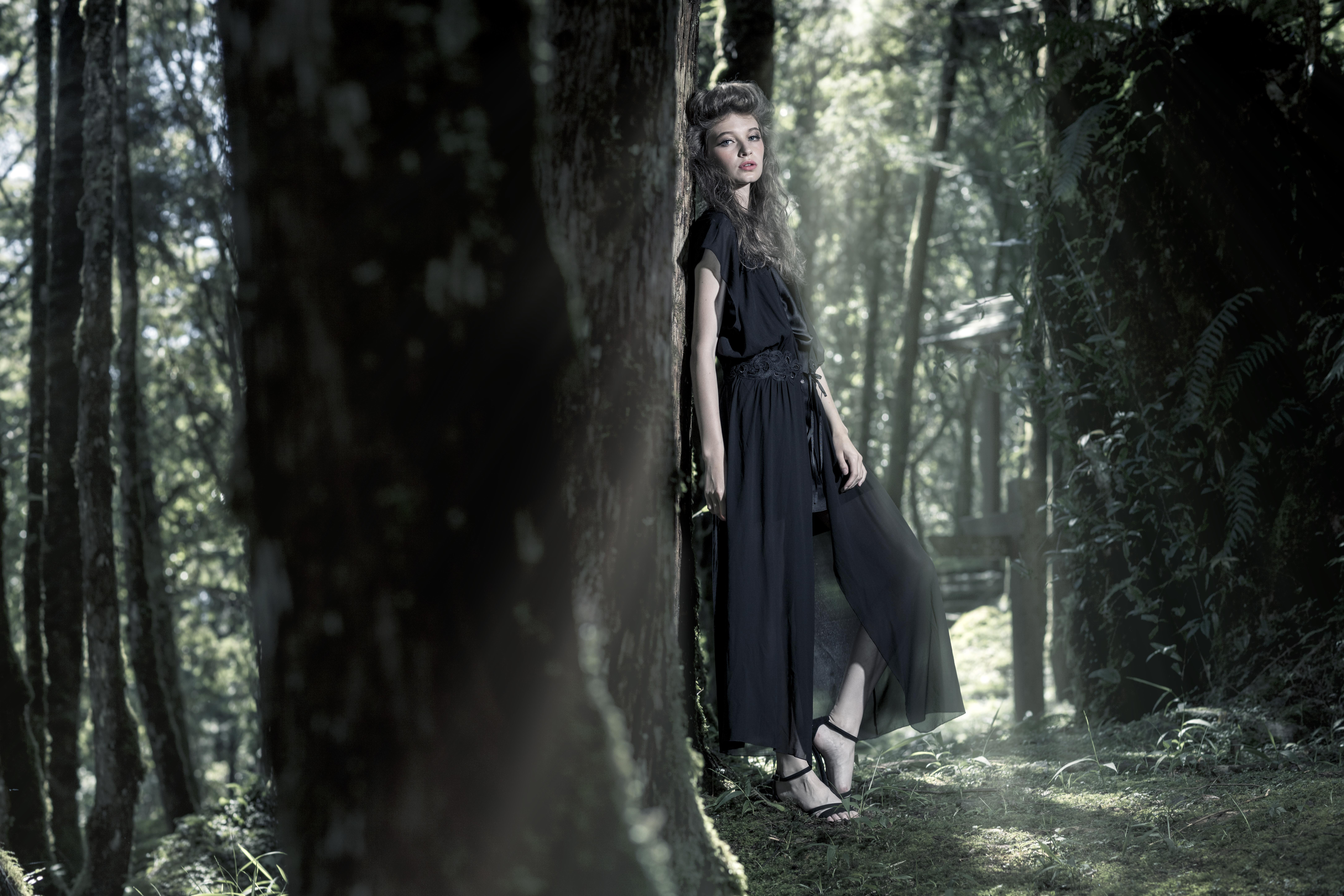 Laden Sie das Wald, Stimmung, Modell, Frauen, Sonnenstrahl, Schwarzes Kleid-Bild kostenlos auf Ihren PC-Desktop herunter