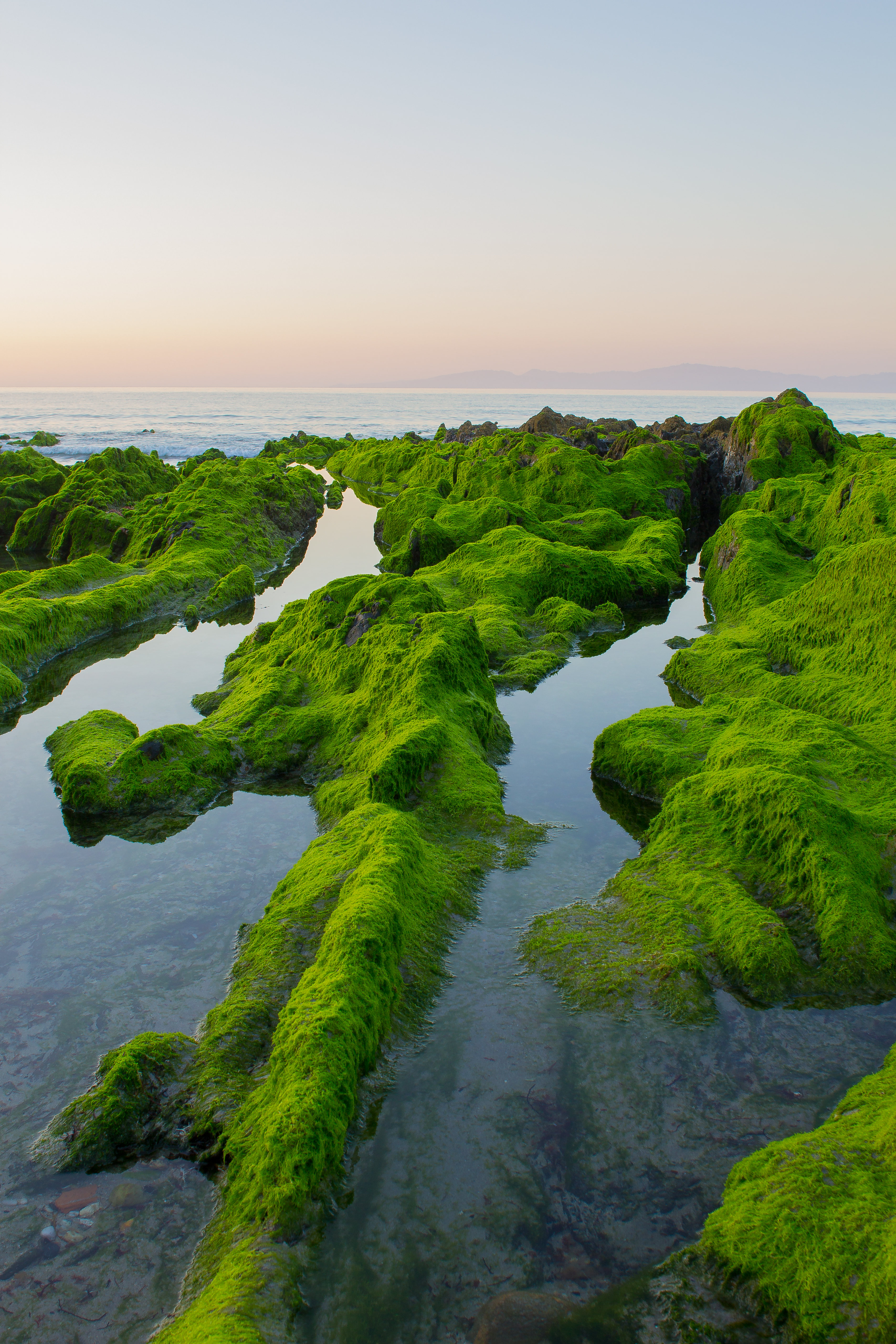 moss, nature, sky, sea, rocks, horizon phone wallpaper