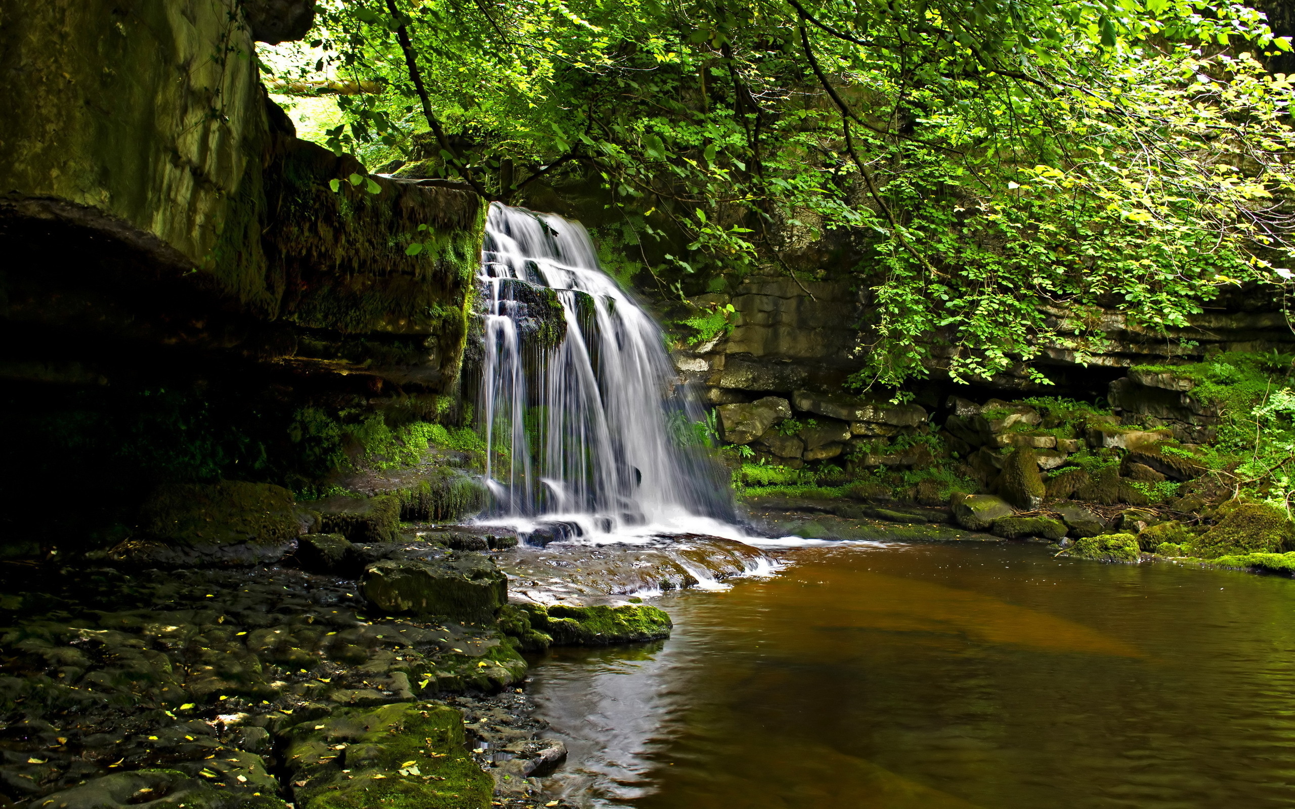 Free download wallpaper Waterfalls, Waterfall, Forest, Tree, Earth, Stream, Pool on your PC desktop
