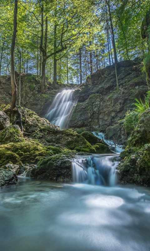 Handy-Wallpaper Natur, Wasserfälle, Wasserfall, Wald, Baum, Strom, Erde/natur kostenlos herunterladen.