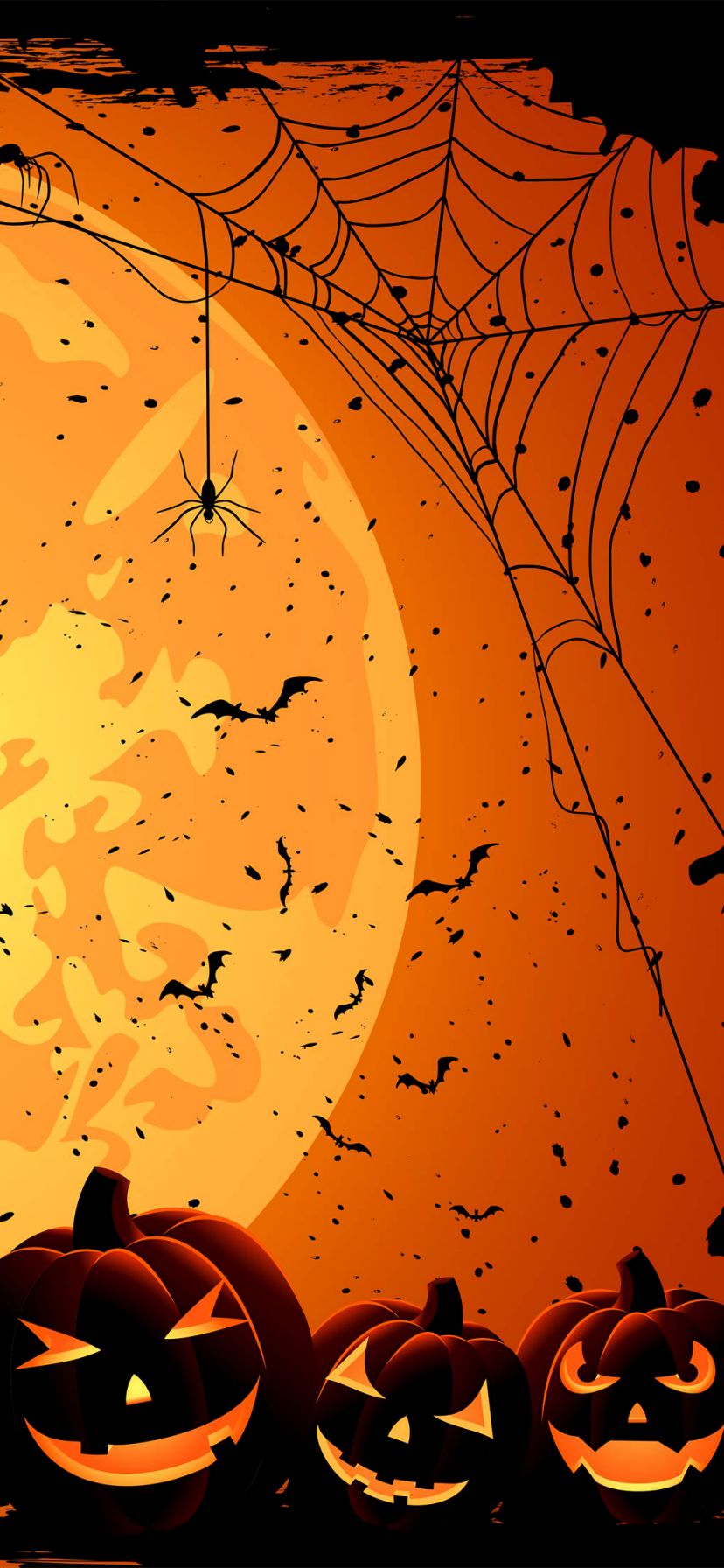 Download mobile wallpaper Halloween, Holiday, Jack O' Lantern, Spider Web for free.