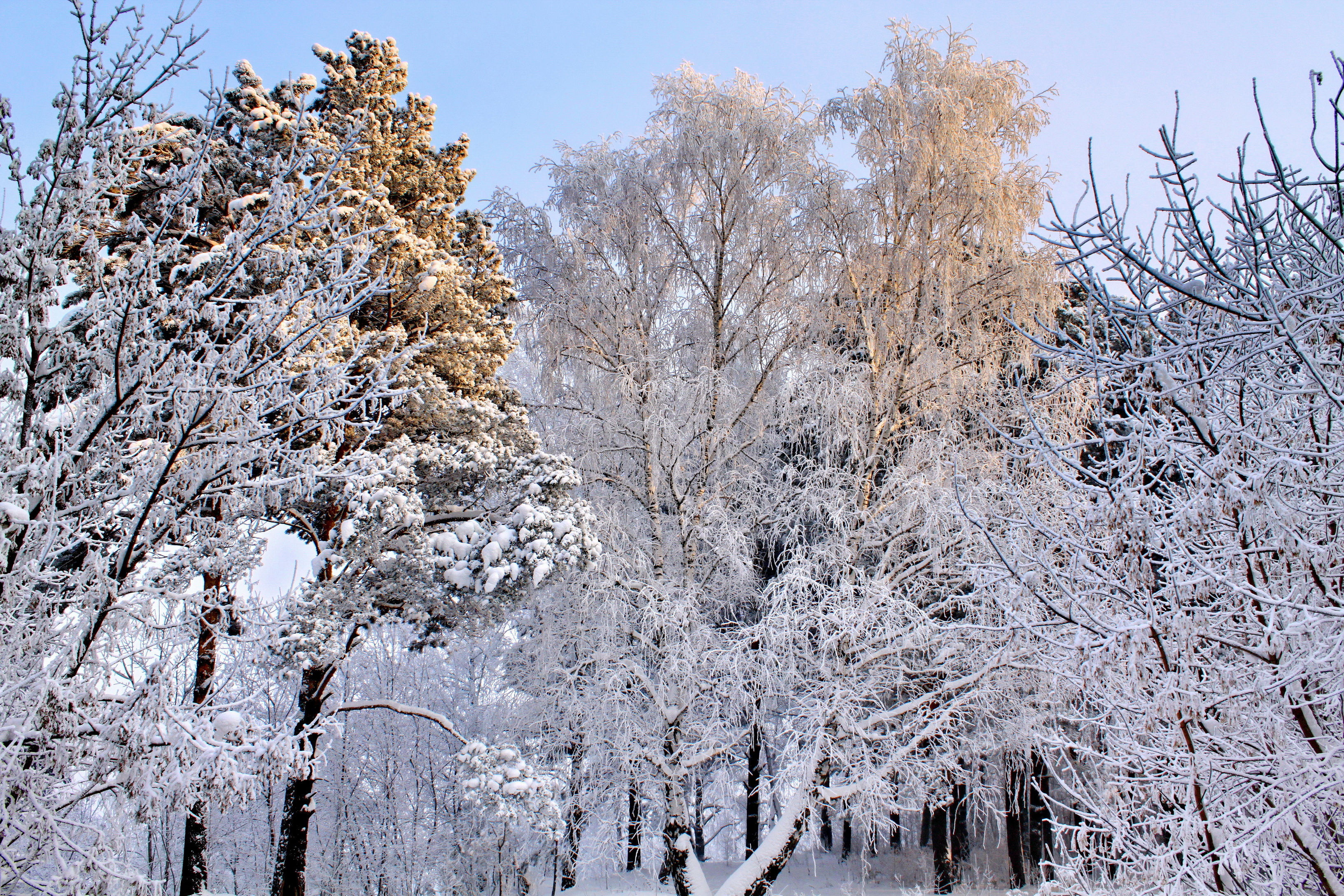 Téléchargez des papiers peints mobile Hiver, Terre/nature gratuitement.