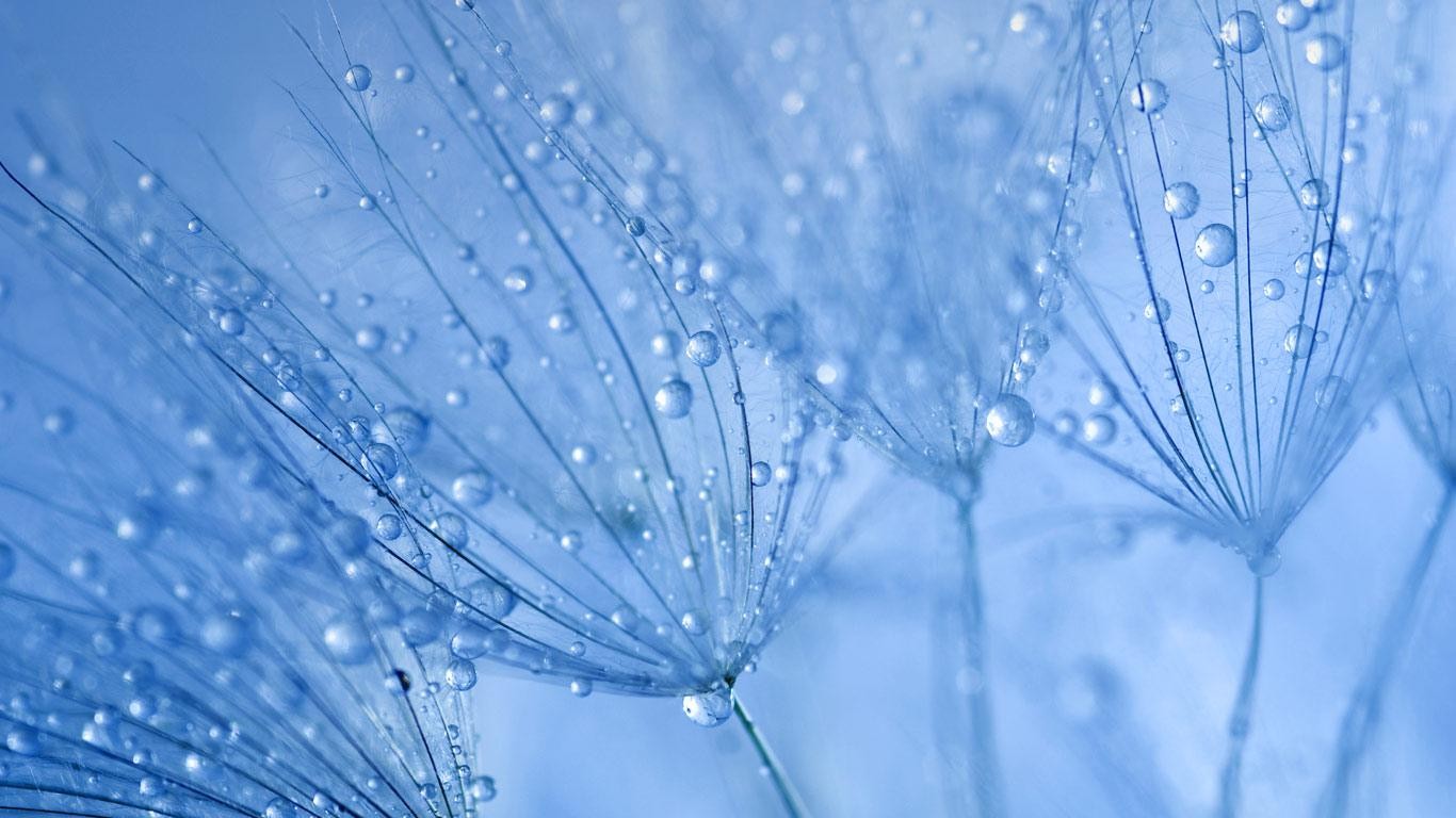 Download mobile wallpaper Earth, Water Drop for free.