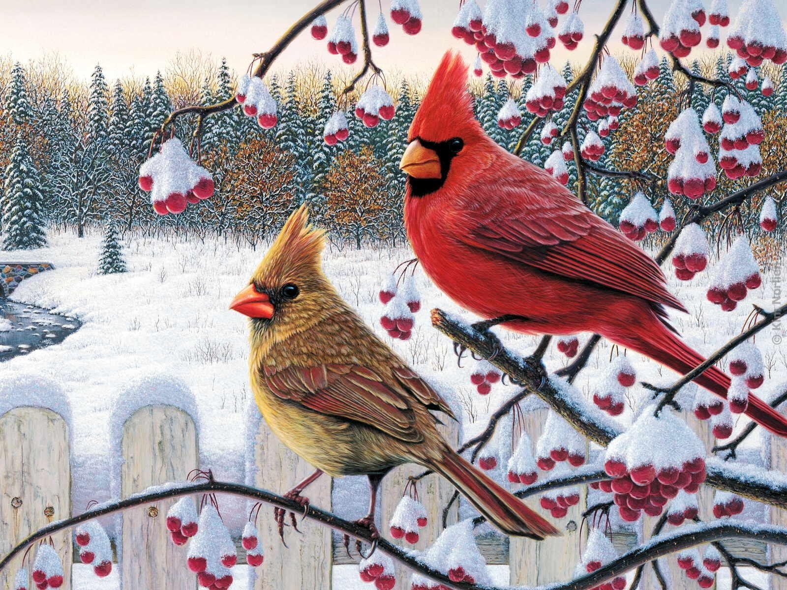 Download mobile wallpaper Winter, Birds, Snow, Tree, Berry, Animal, Painting, Cardinal for free.