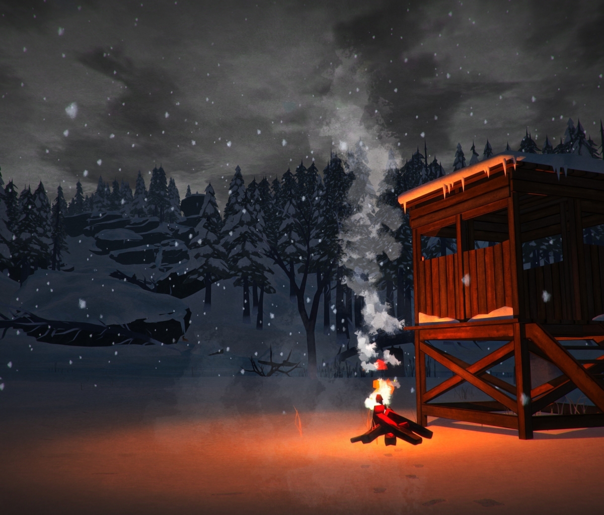 Download mobile wallpaper Bonfire, Snow, Video Game, The Long Dark for free.