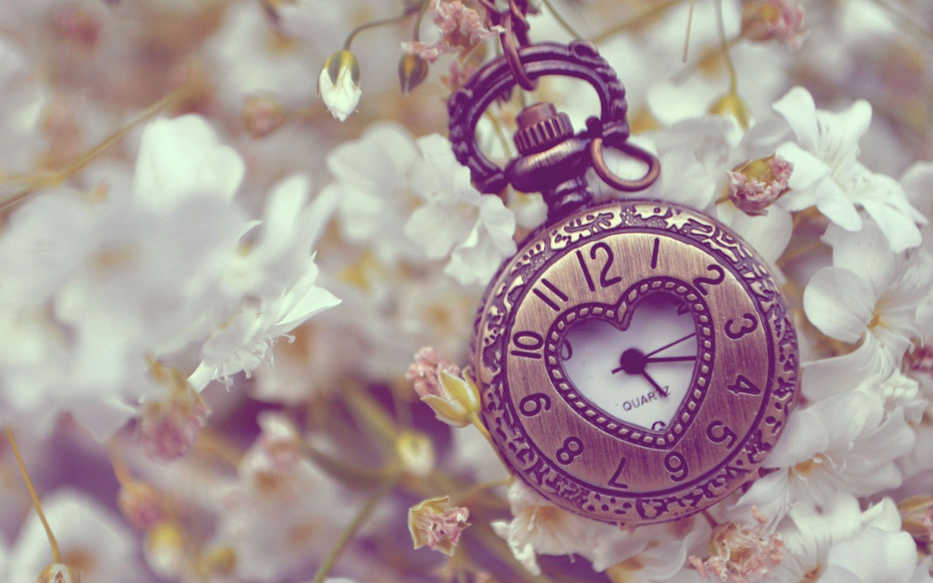 Download mobile wallpaper Miscellaneous, Miscellanea, Flowers, Pocket Watch, Background, Form for free.