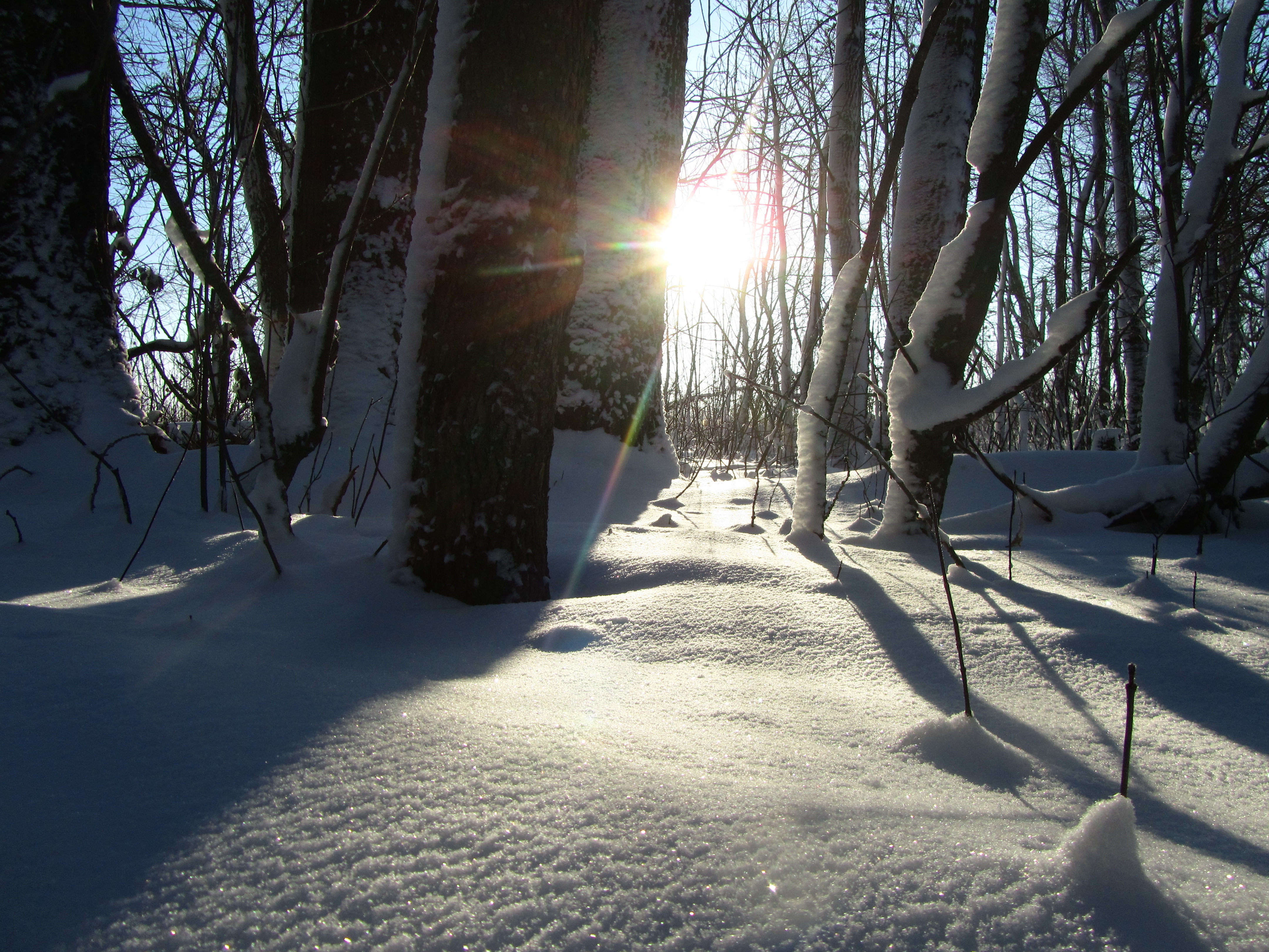 Laden Sie das Winter, Fotografie-Bild kostenlos auf Ihren PC-Desktop herunter