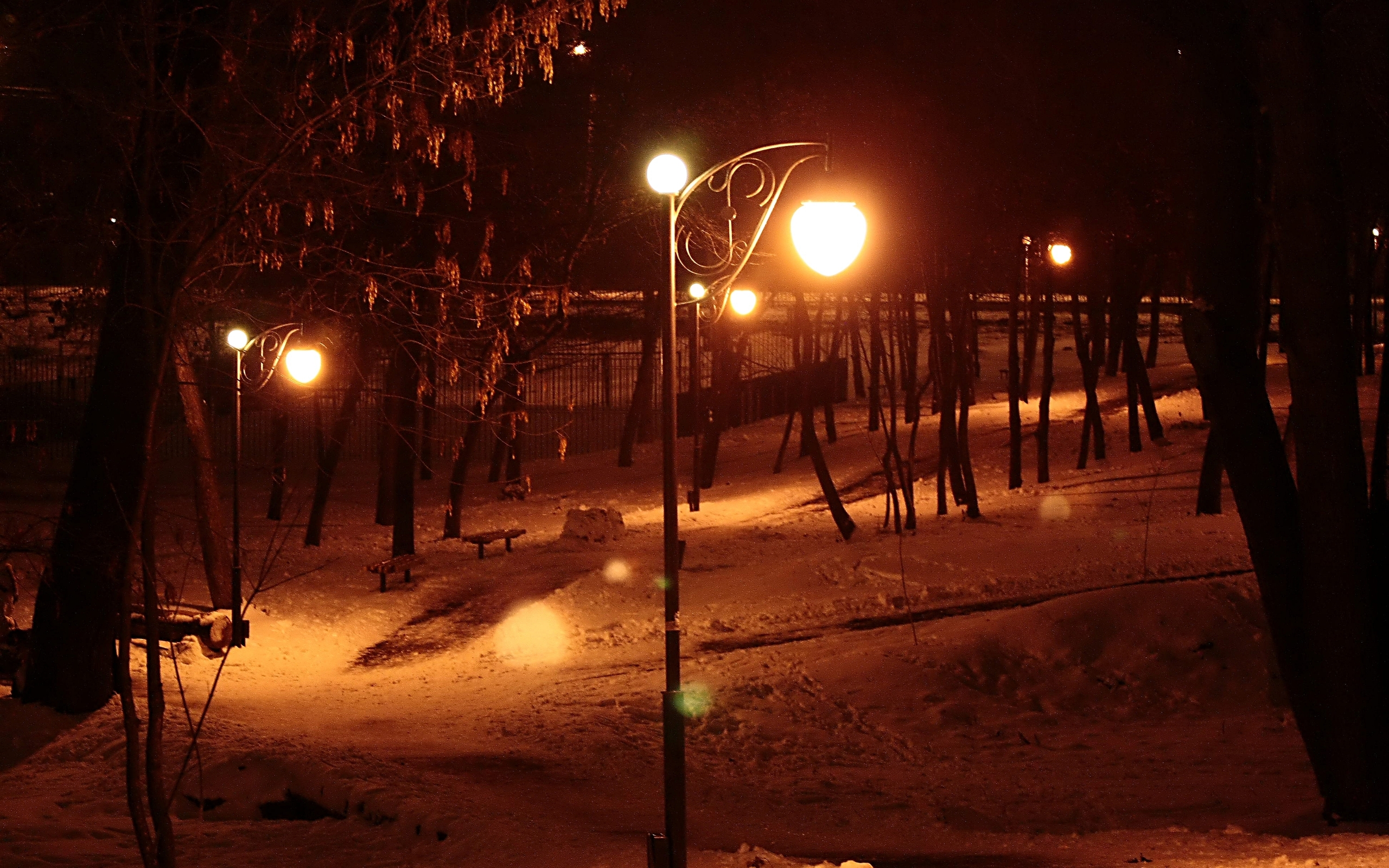 Baixe gratuitamente a imagem Inverno, Fotografia na área de trabalho do seu PC