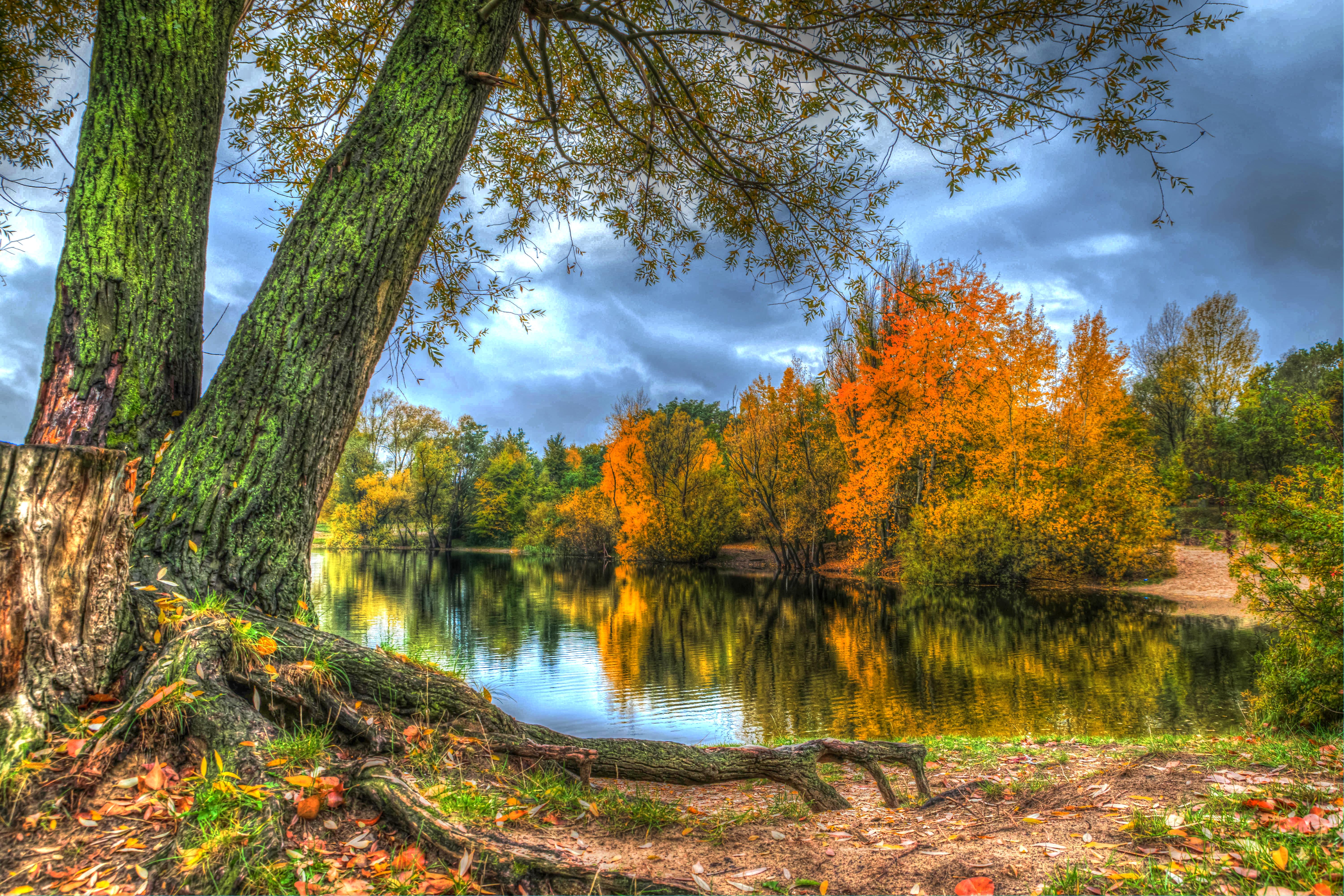Download mobile wallpaper Lakes, Lake, Tree, Fall, Earth, Hdr for free.