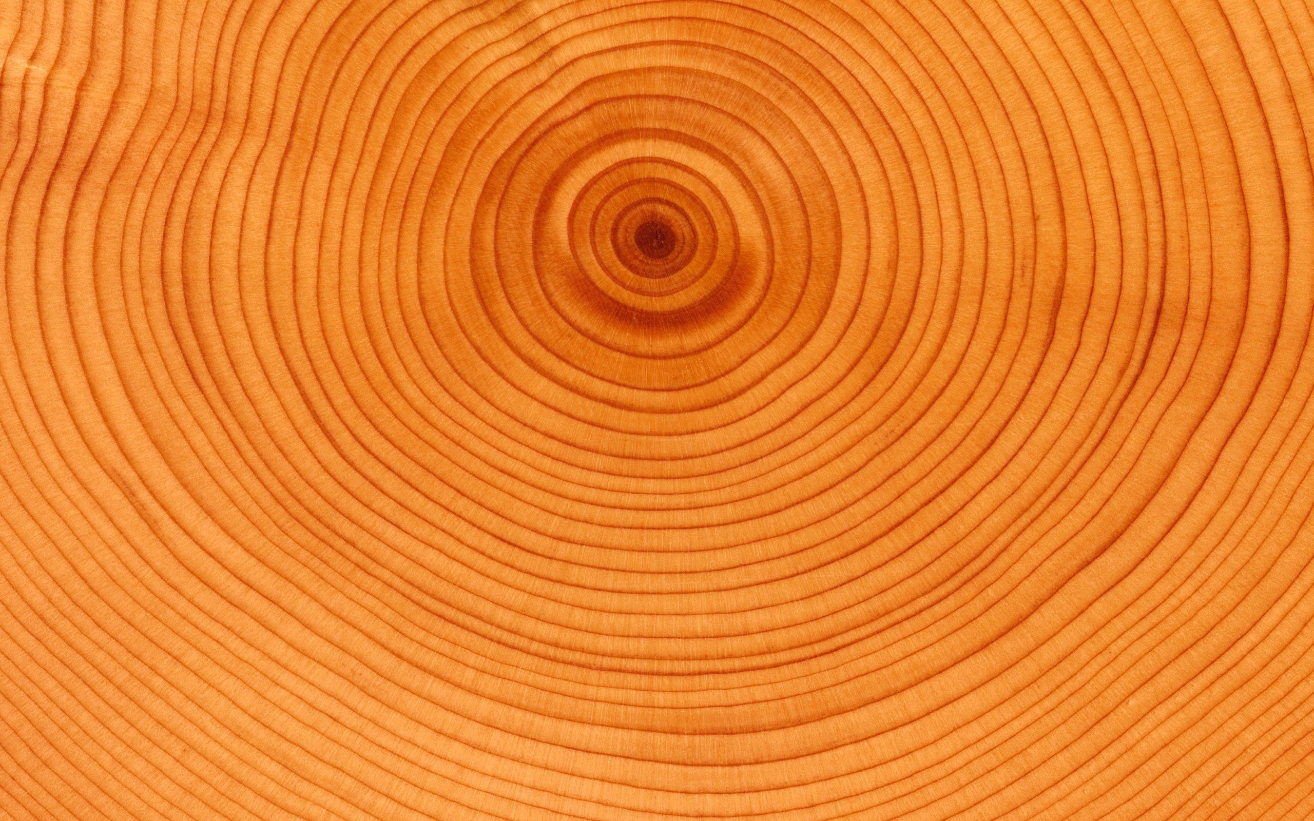 circles, background, wood, tree, texture, textures, slice, section, trunk