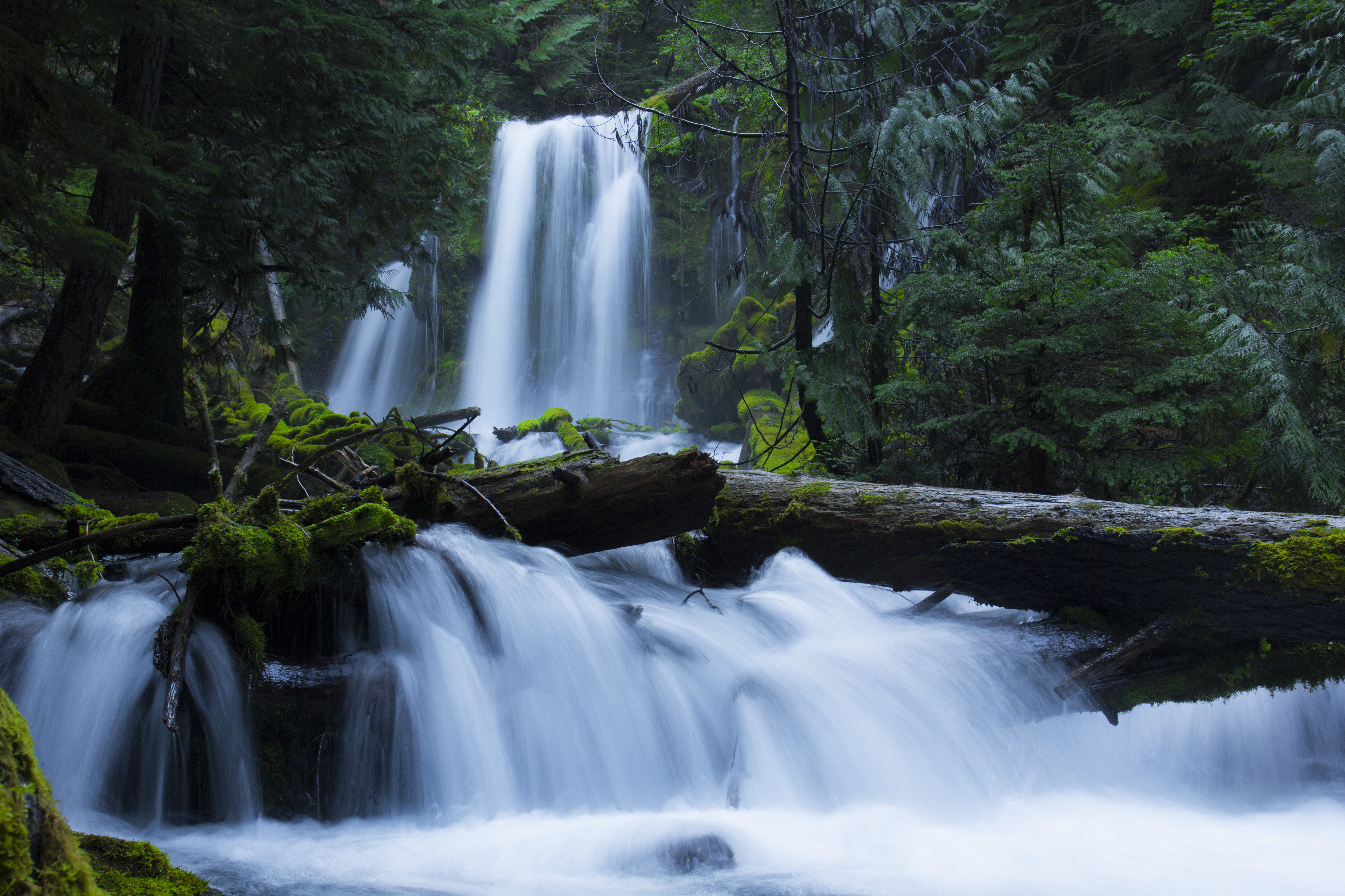 waterfall, nature, trees, forest, moss 32K