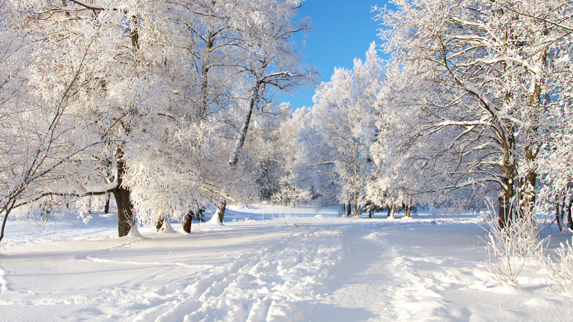 Завантажити шпалери безкоштовно Зима, Земля картинка на робочий стіл ПК
