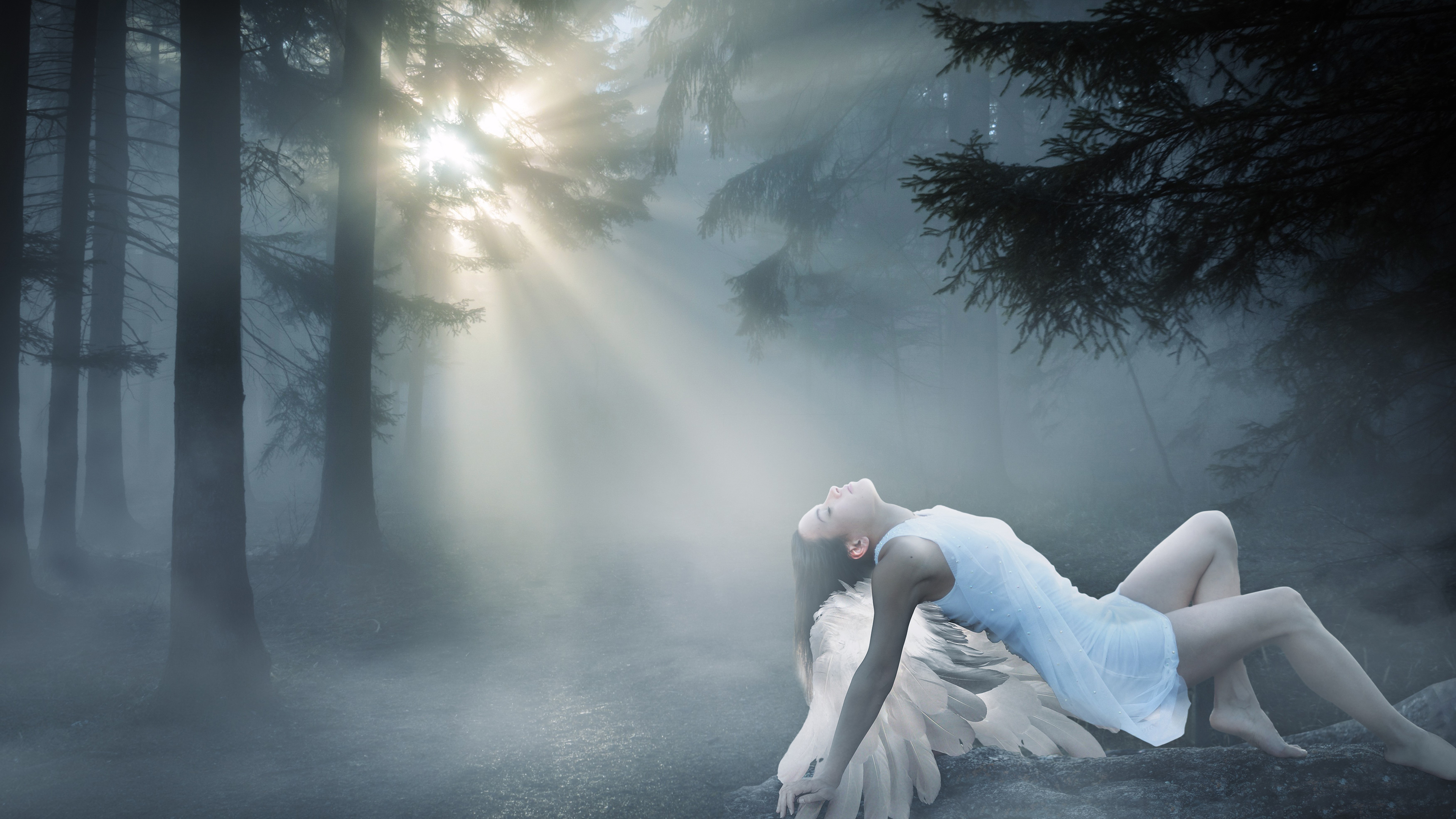 Laden Sie das Fantasie, Engel, Baum, Nebel-Bild kostenlos auf Ihren PC-Desktop herunter