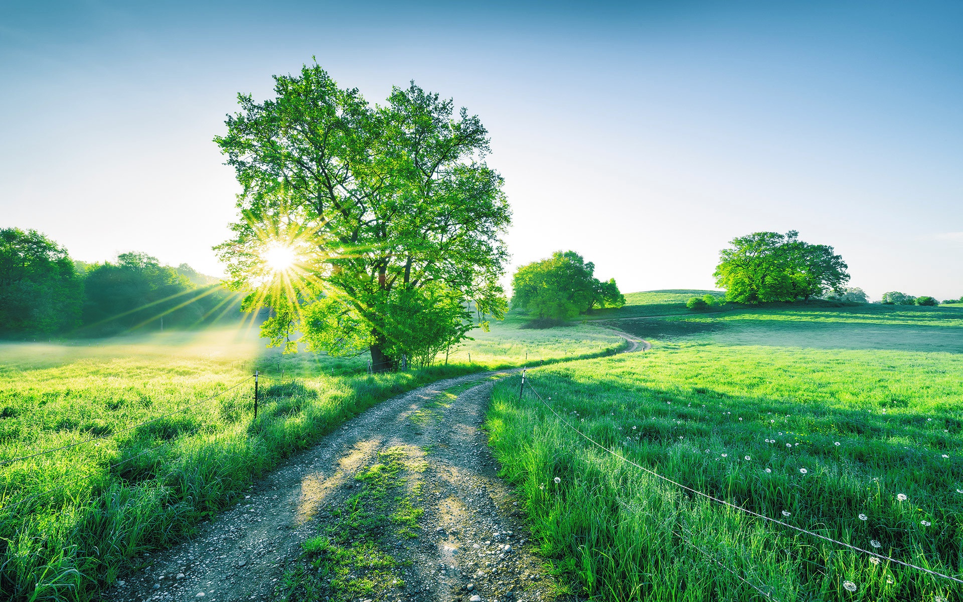 Free download wallpaper Tree, Earth, Path, Meadow, Sunbeam on your PC desktop