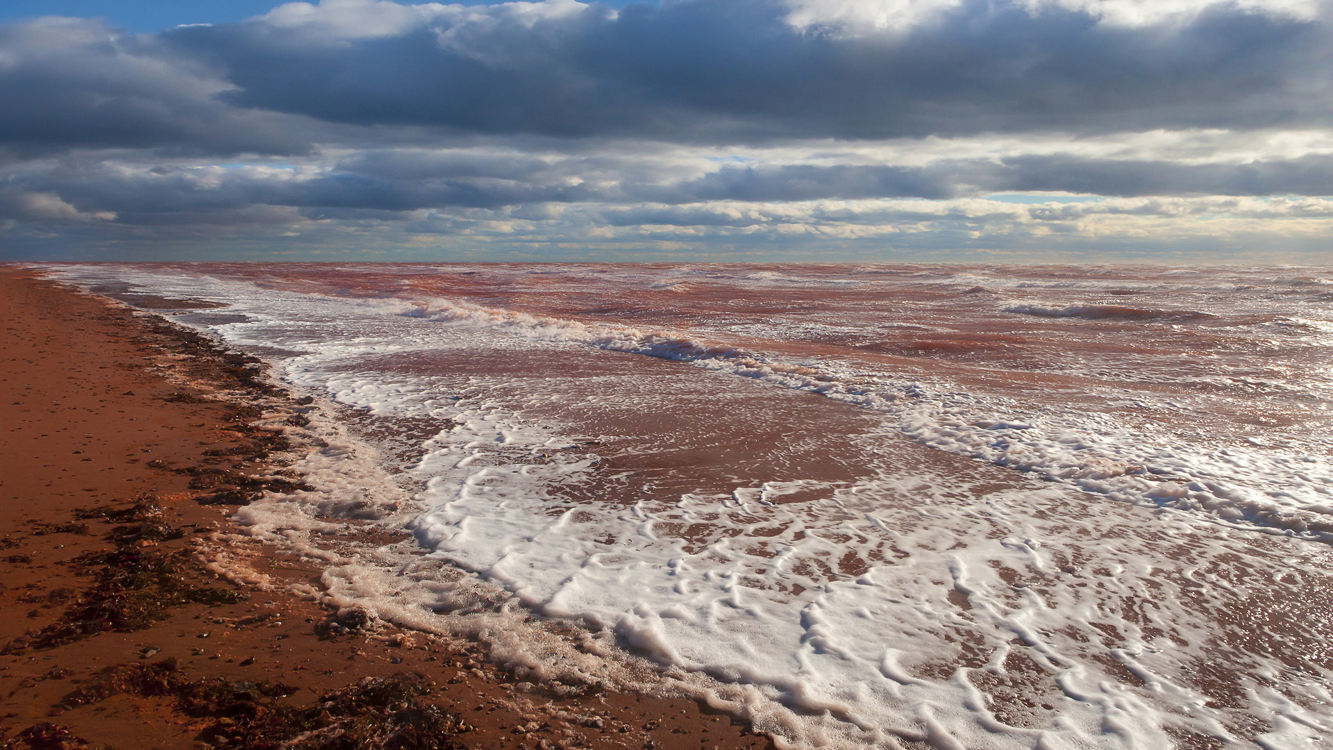 Laden Sie das Strand, Erde/natur-Bild kostenlos auf Ihren PC-Desktop herunter