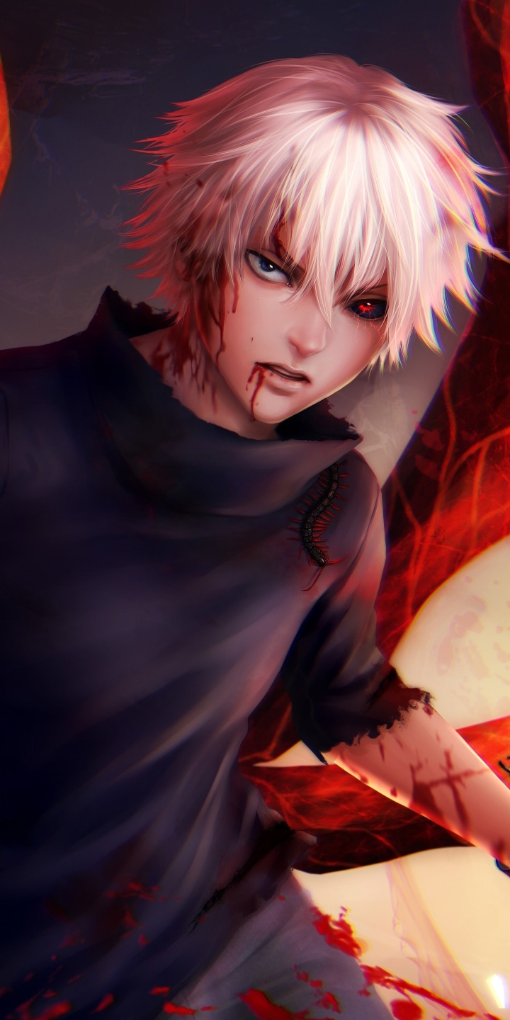 Handy-Wallpaper Animes, Ken Kanek, Tokyo Ghoul kostenlos herunterladen.