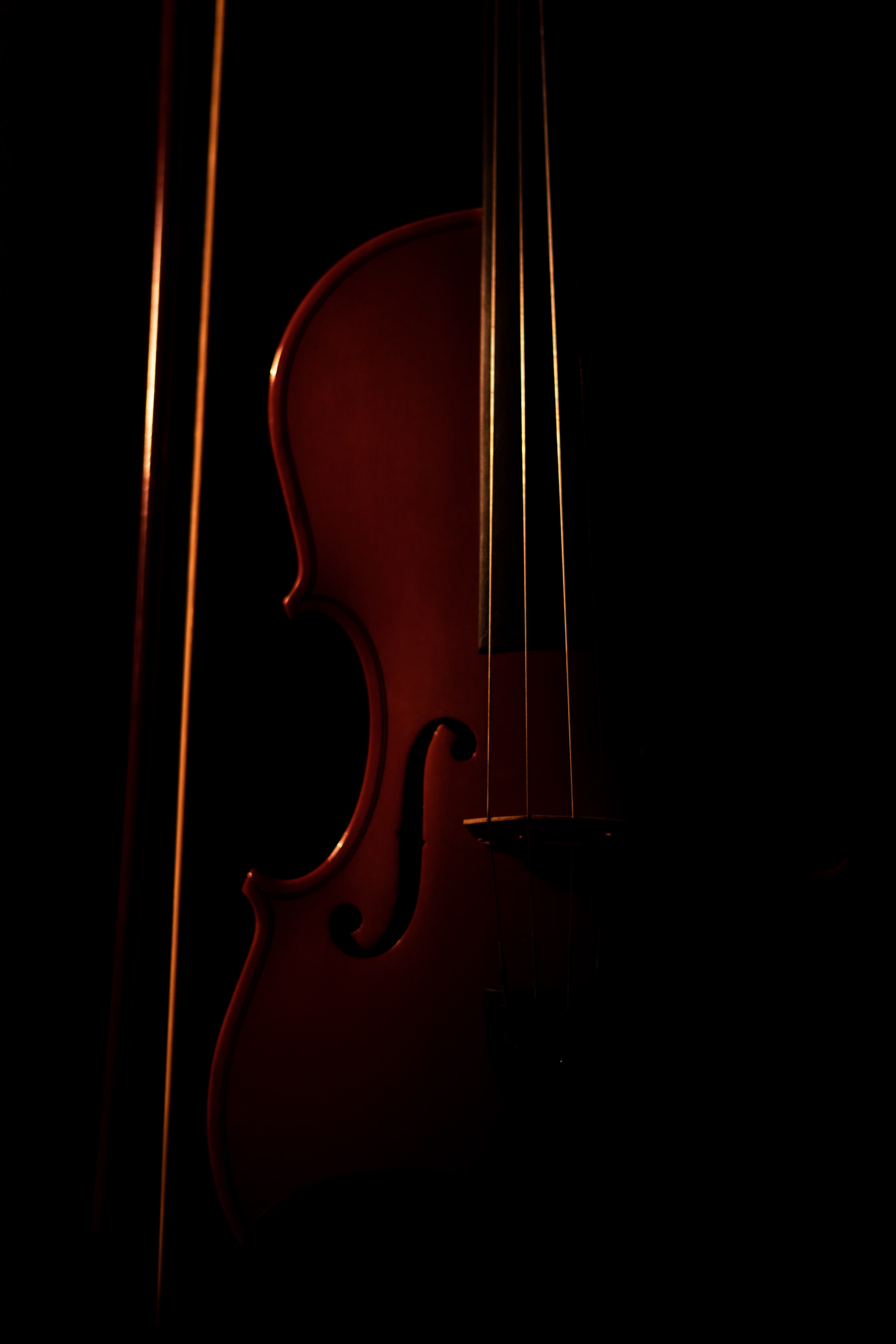 violin, musical instrument, music, dark