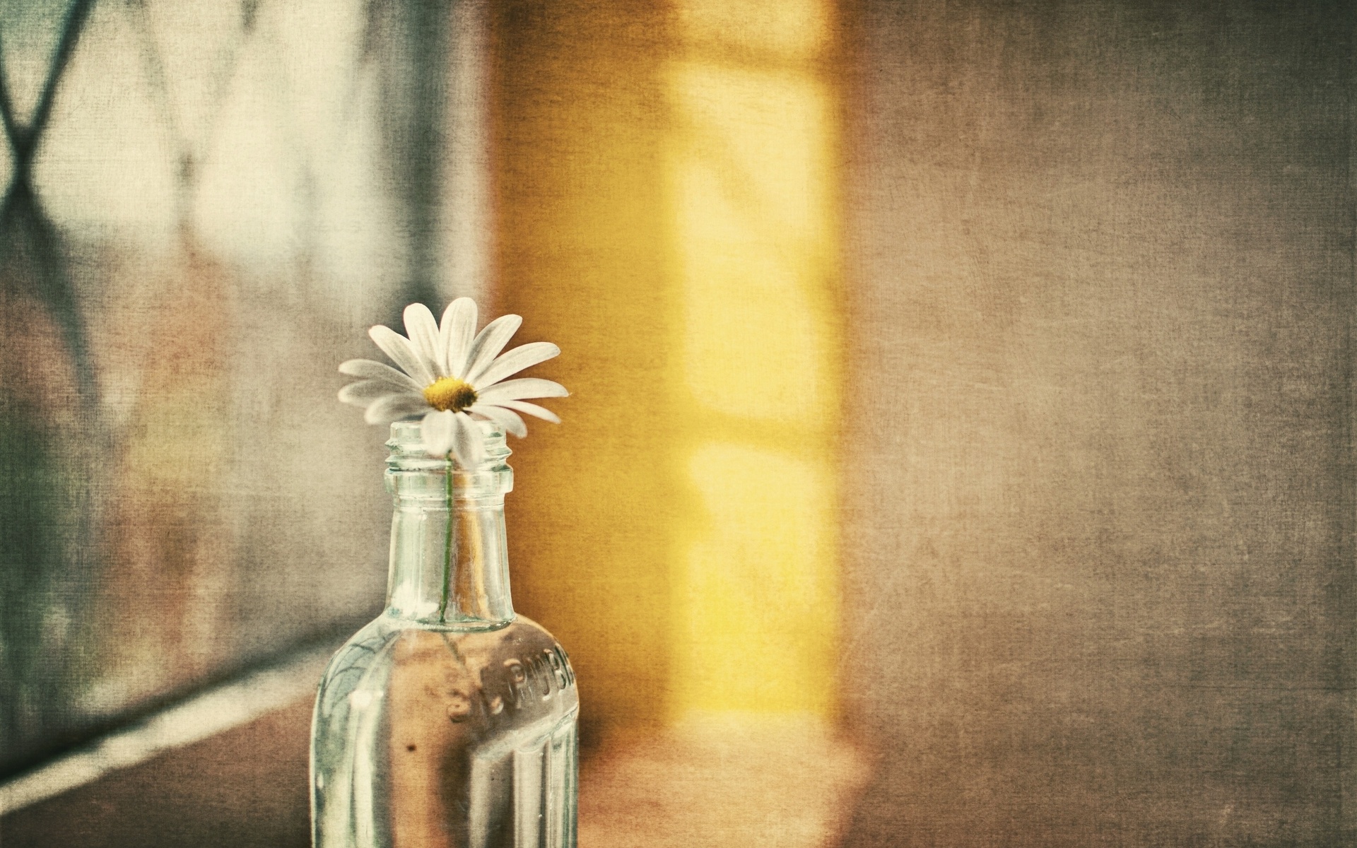 Download mobile wallpaper Still Life, Photography for free.