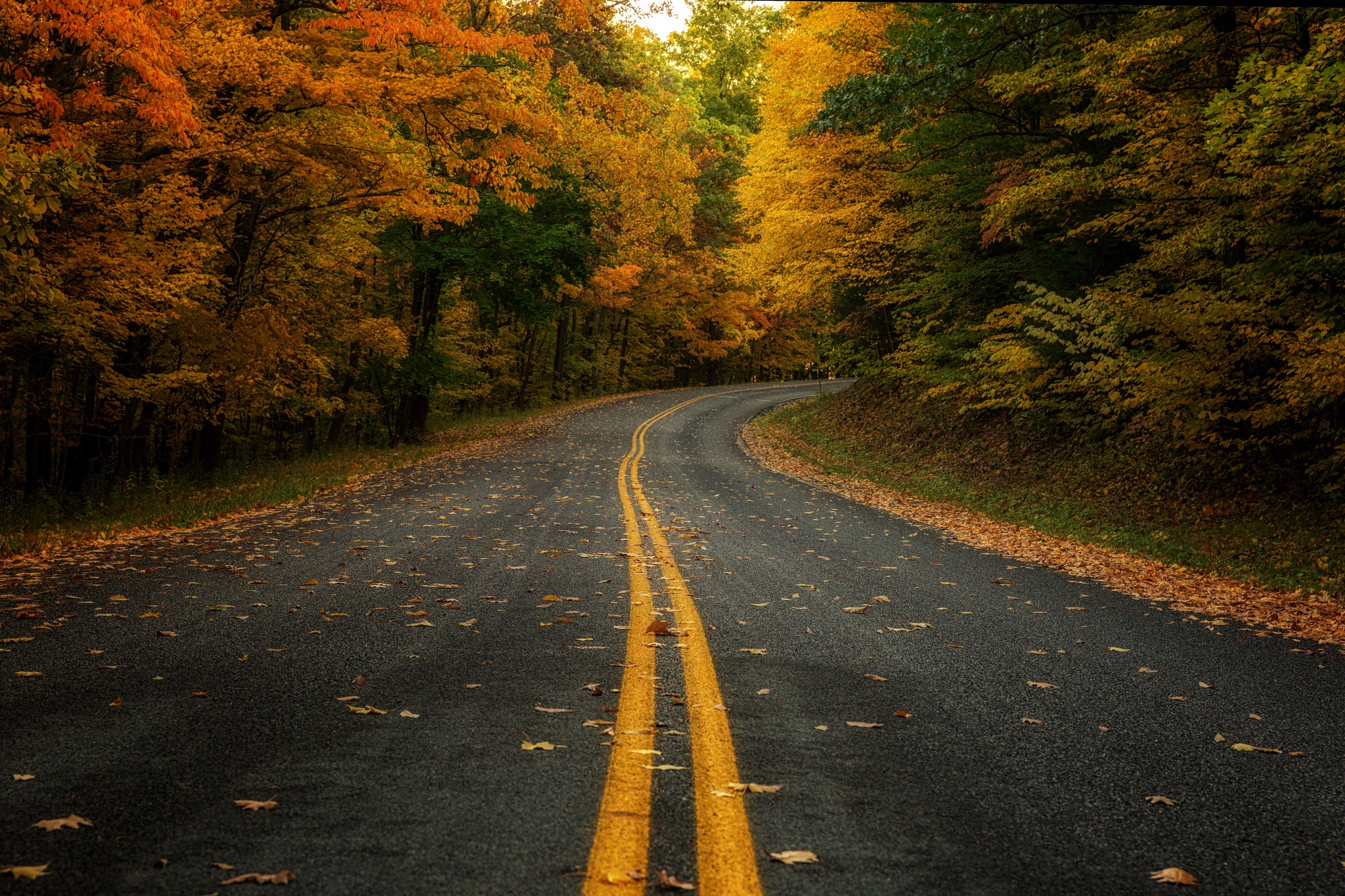 Free download wallpaper Nature, Road, Forest, Fall, Man Made on your PC desktop