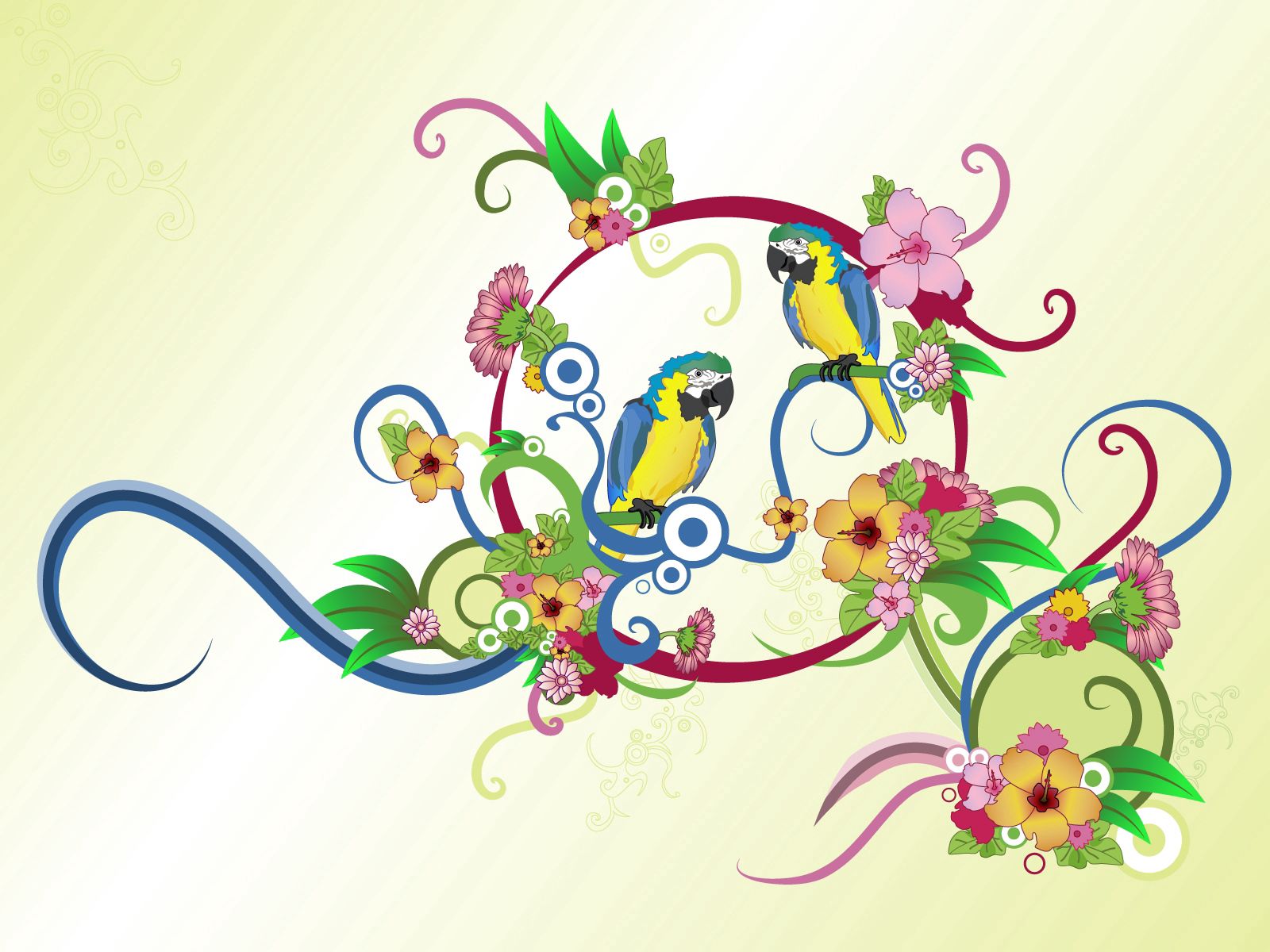 flowers, parrots, patterns, vector, multicolored, motley FHD, 4K, UHD