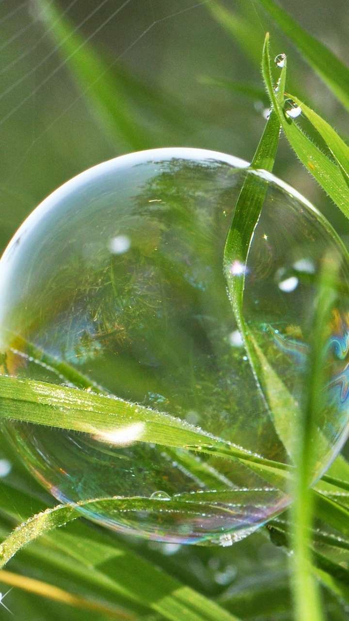 Download mobile wallpaper Nature, Grass, Macro, Photography, Bubble for free.