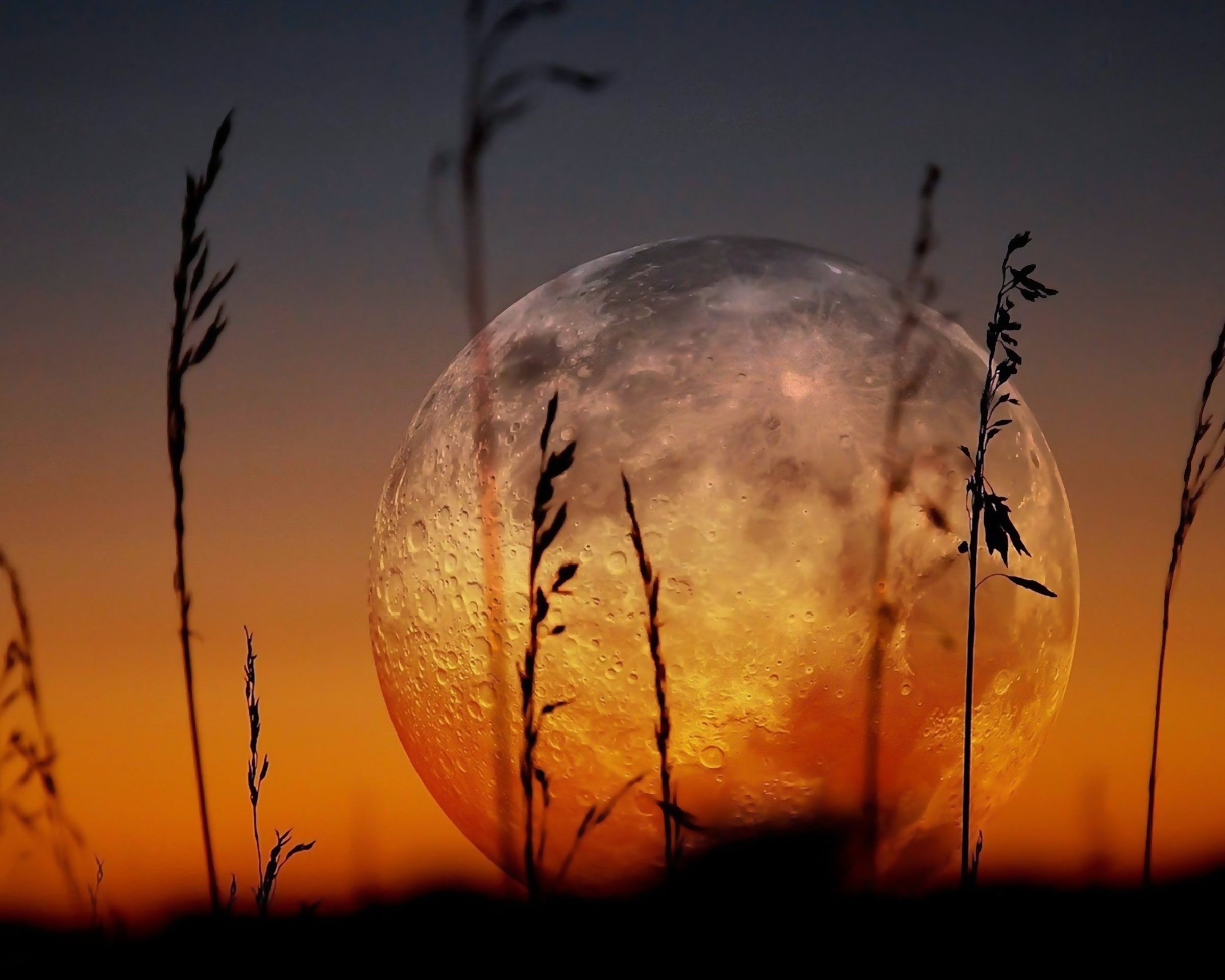 Free download wallpaper Nature, Sunset, Moon, Earth on your PC desktop