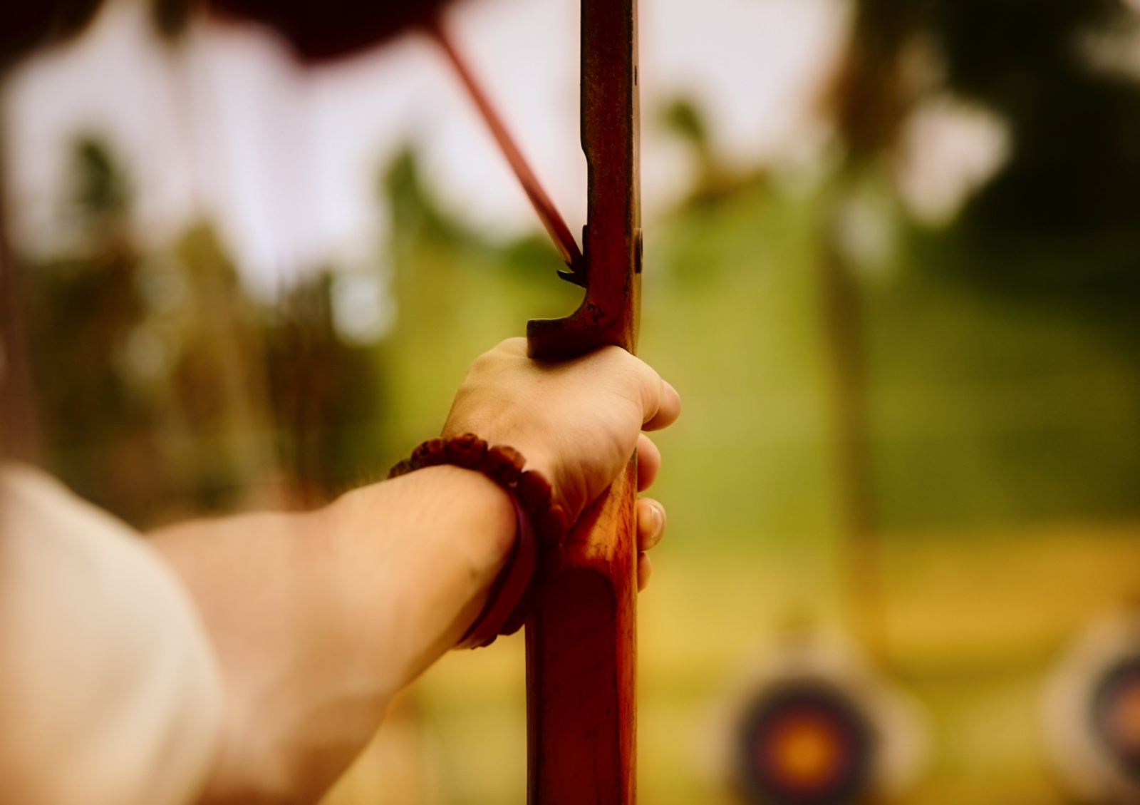 sports, archery